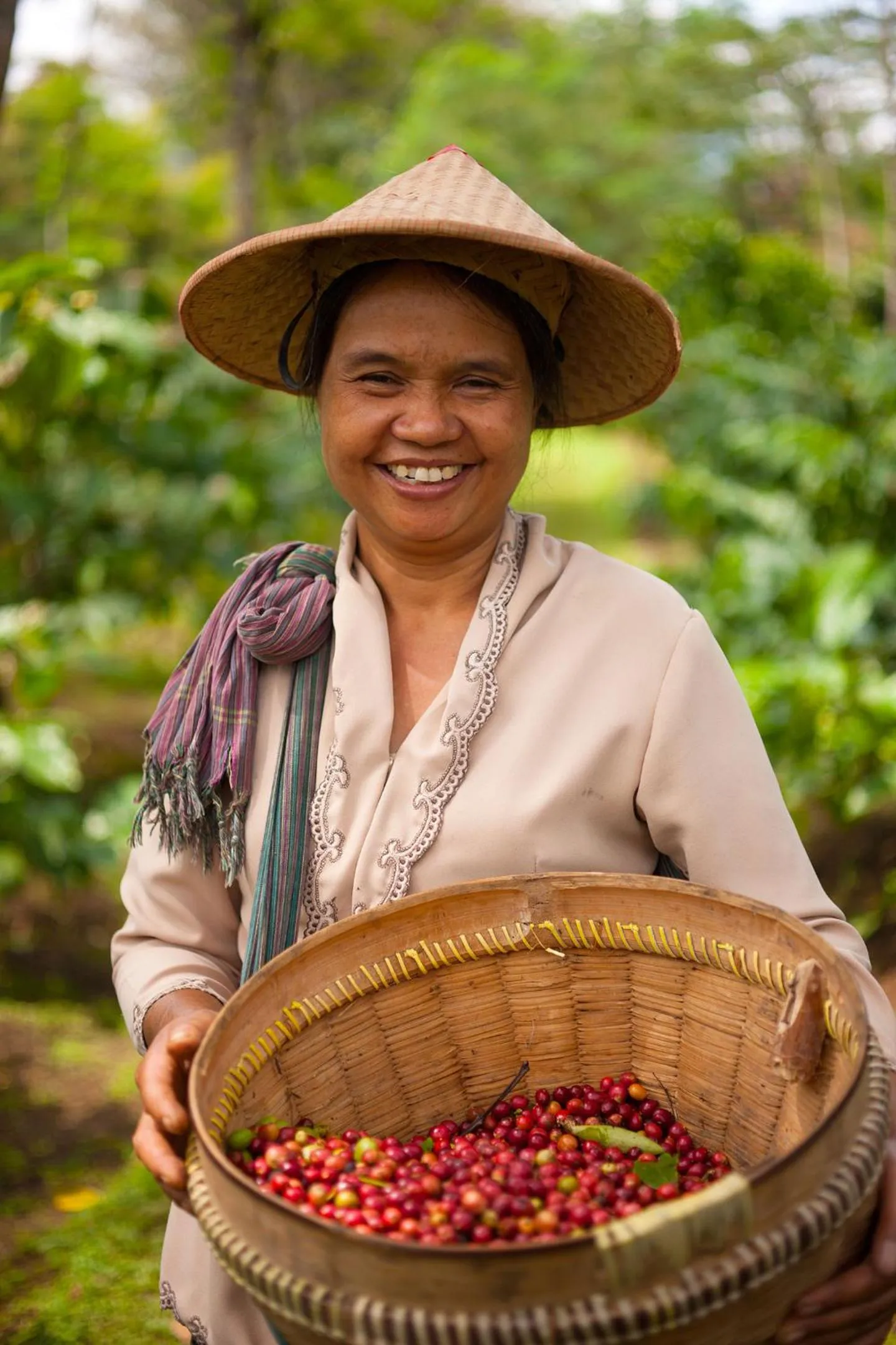 Activities in MesaStila Resort and Spa