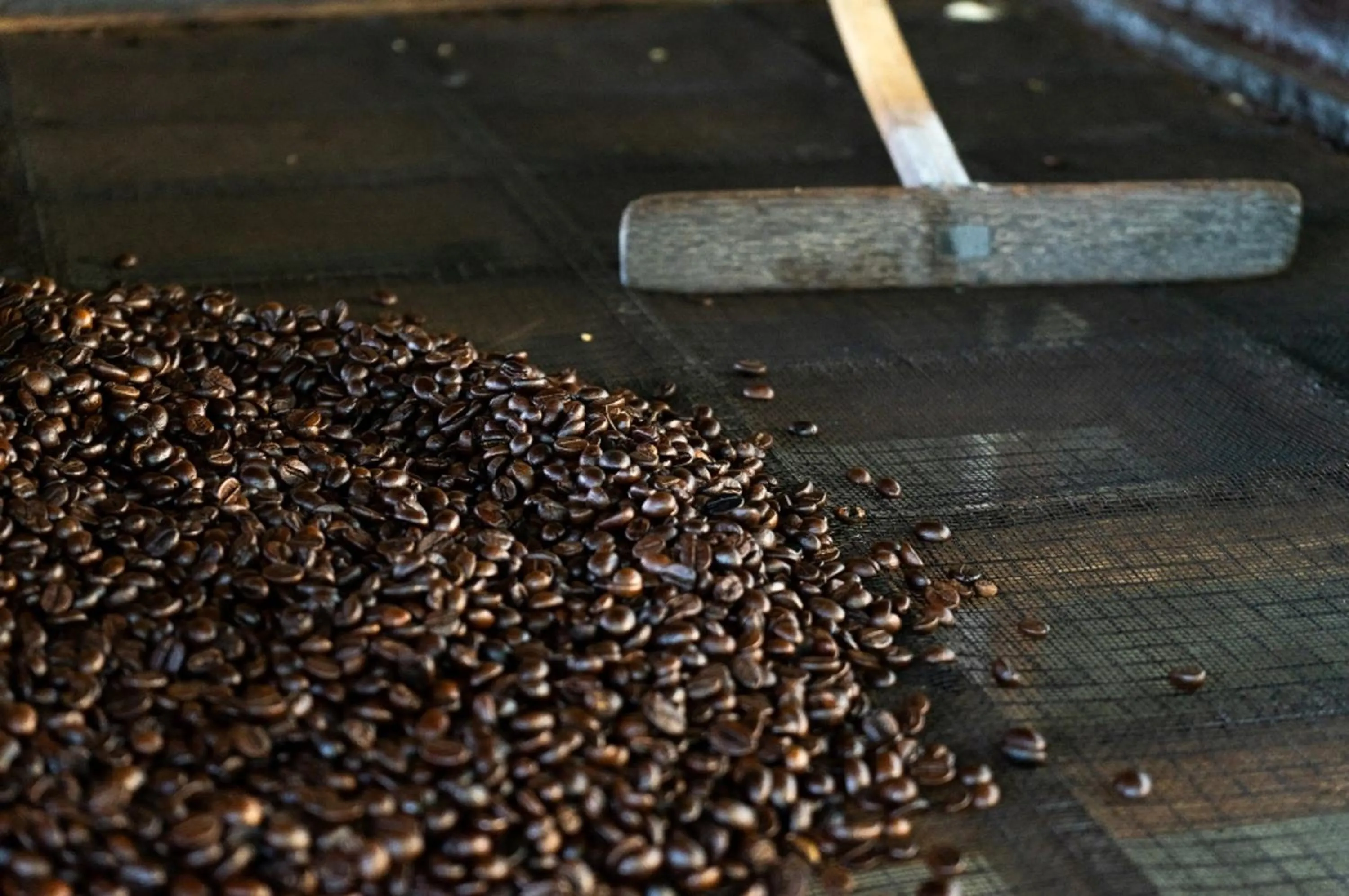 Entertainment in MesaStila Resort and Spa