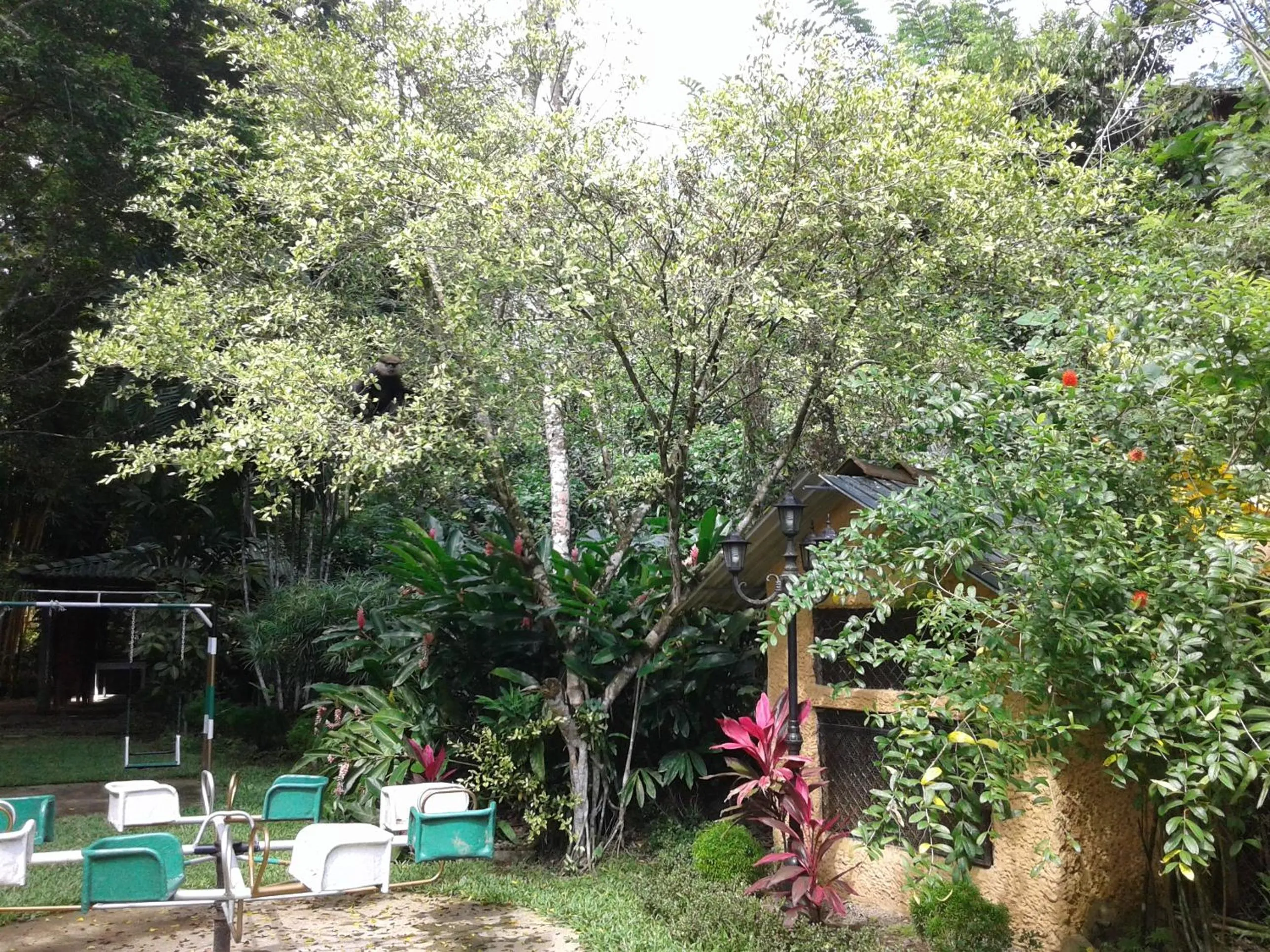 Hareesha Holiday Resort