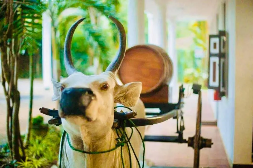 Hareesha Holiday Resort