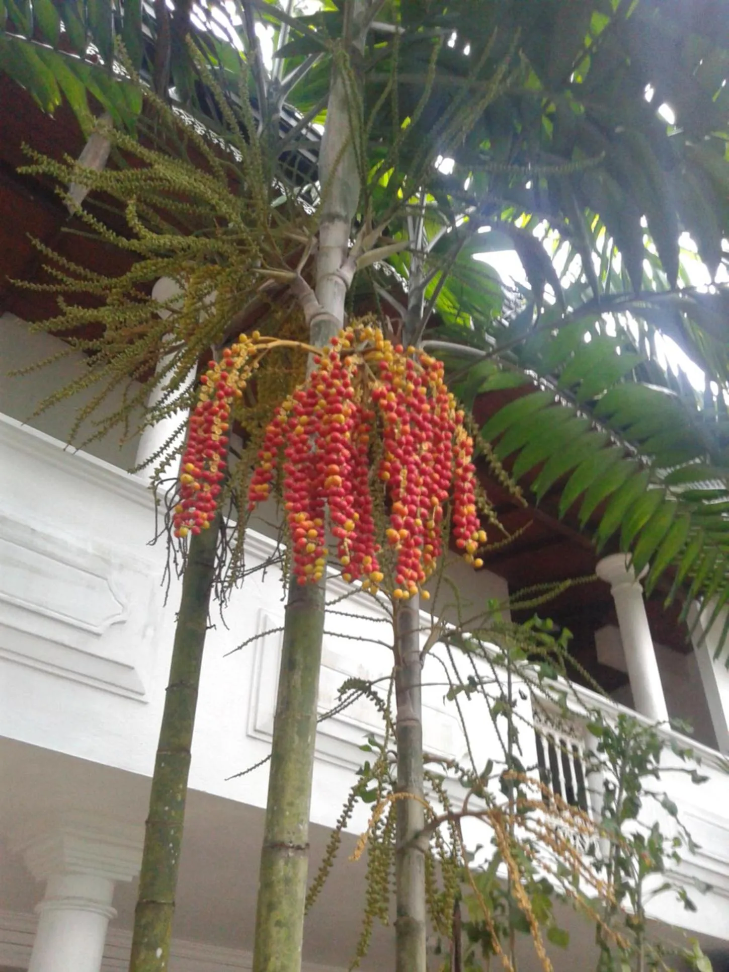 Hareesha Holiday Resort