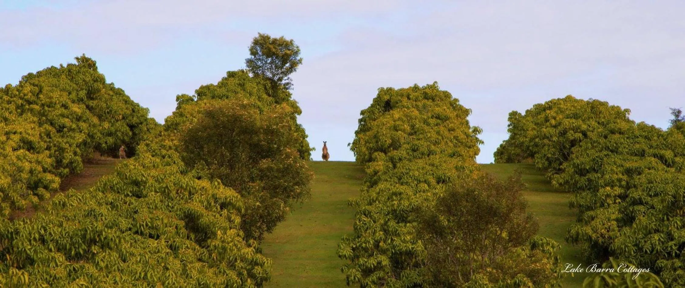 Property building in Lake Barra Cottages