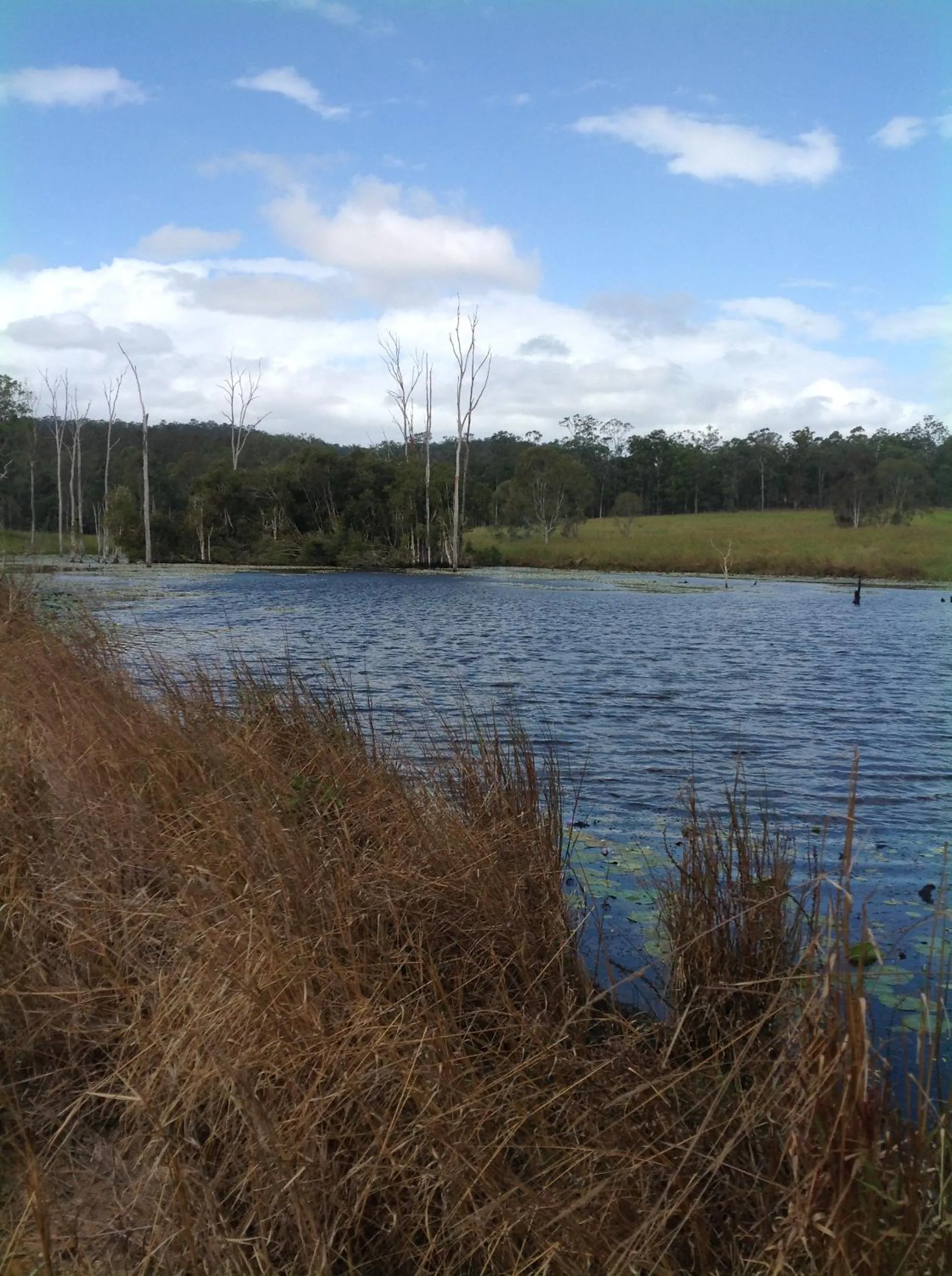 Property building in Lake Barra Cottages