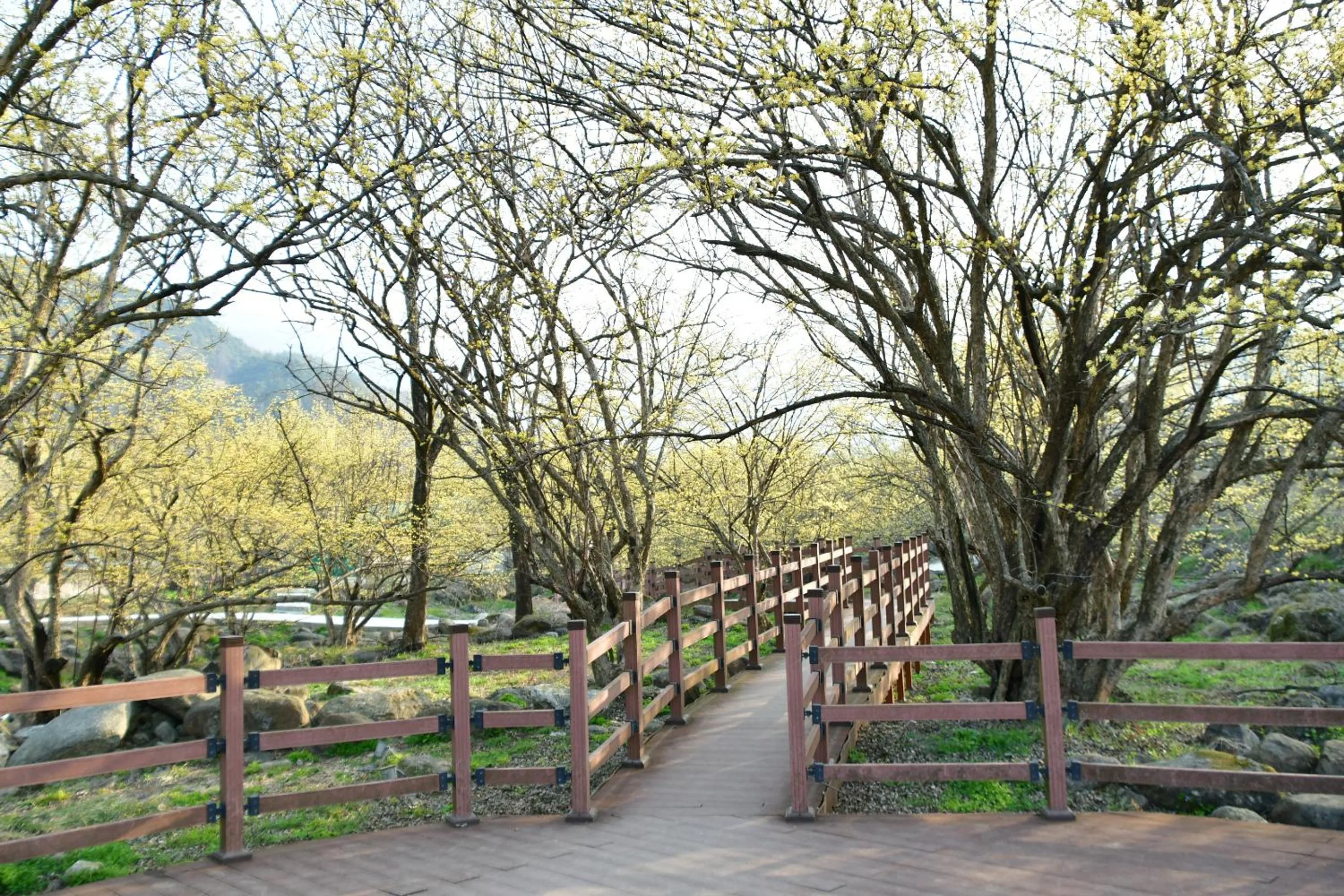 Hiking in Nogodan Guesthouse and Hotel