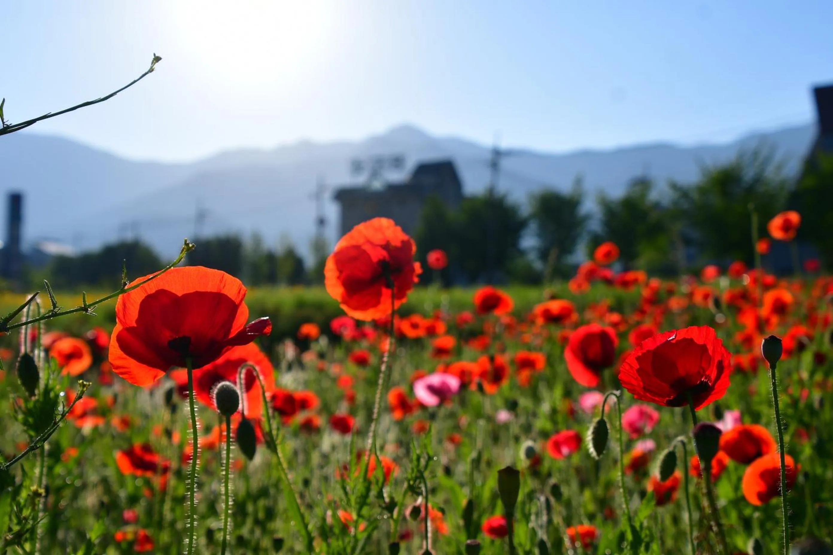 Property building in Nogodan Guesthouse and Hotel