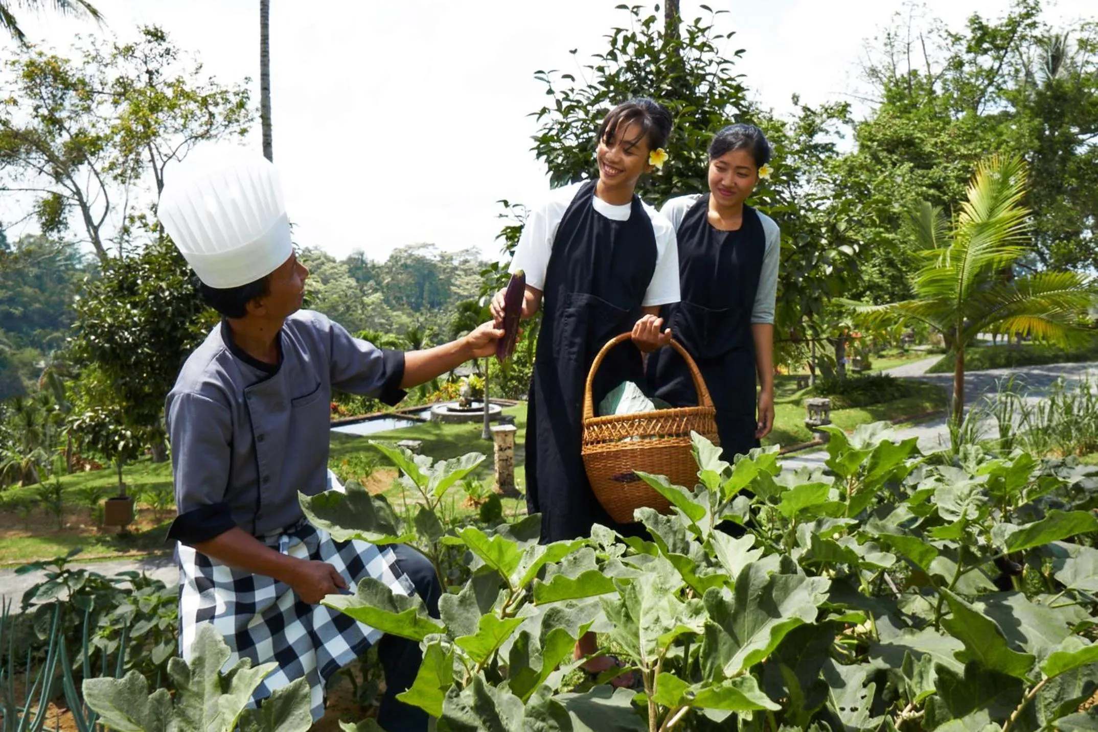 Garden in Bagus Jati Health & Wellbeing Retreat