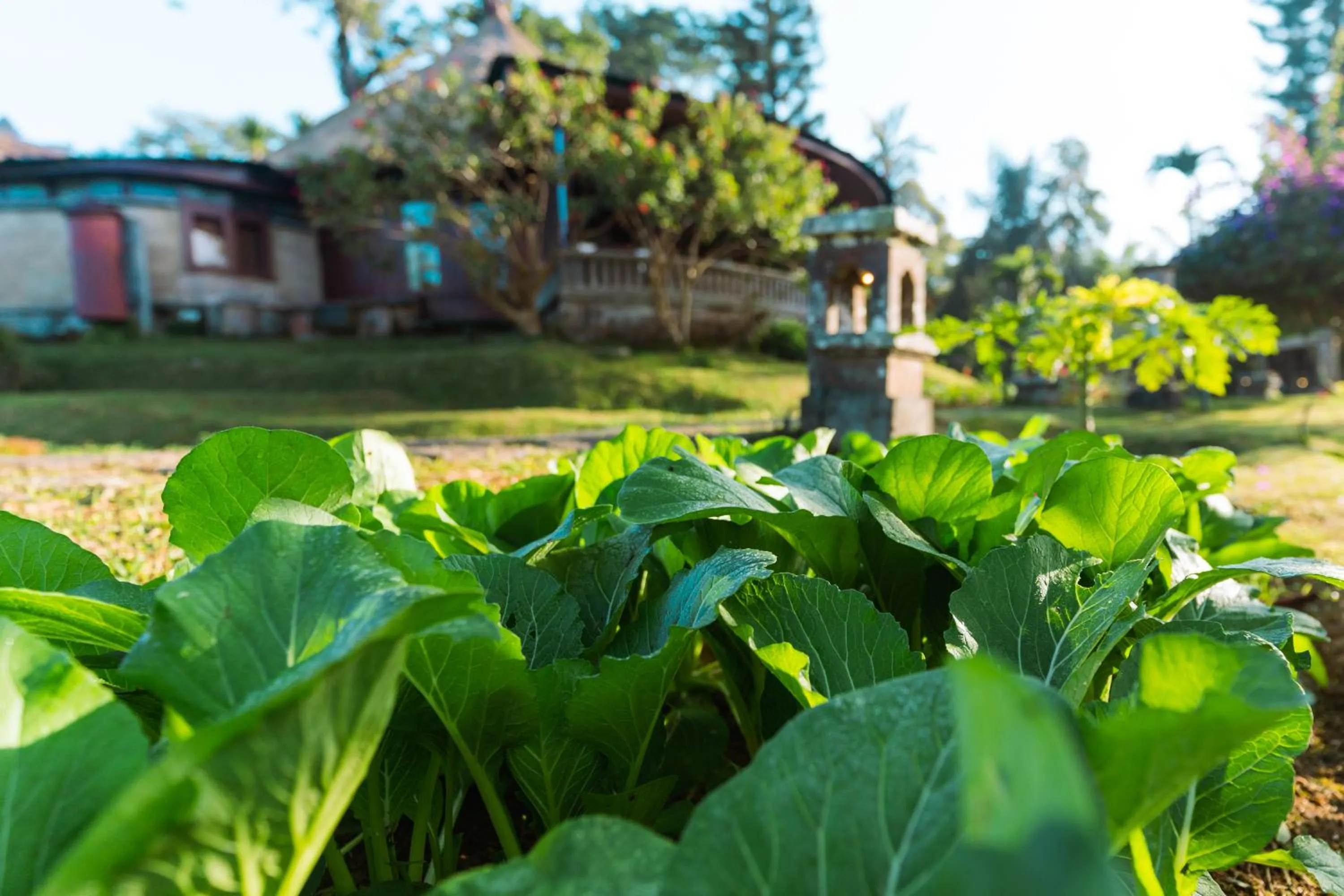 Garden in Bagus Jati Health & Wellbeing Retreat