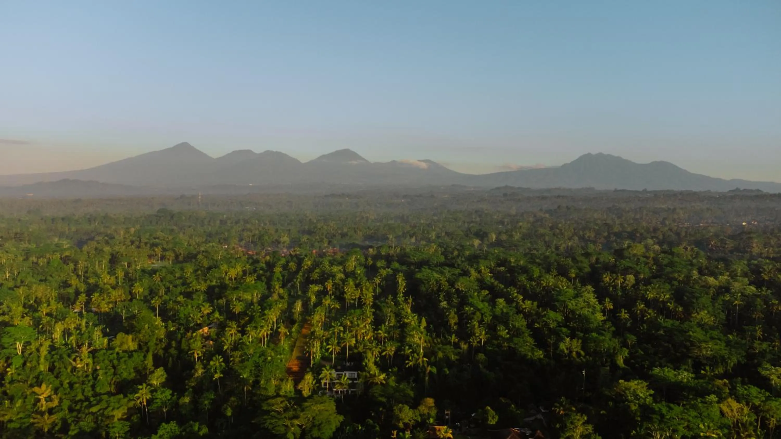 Bird's eye view in Bagus Jati Health & Wellbeing Retreat