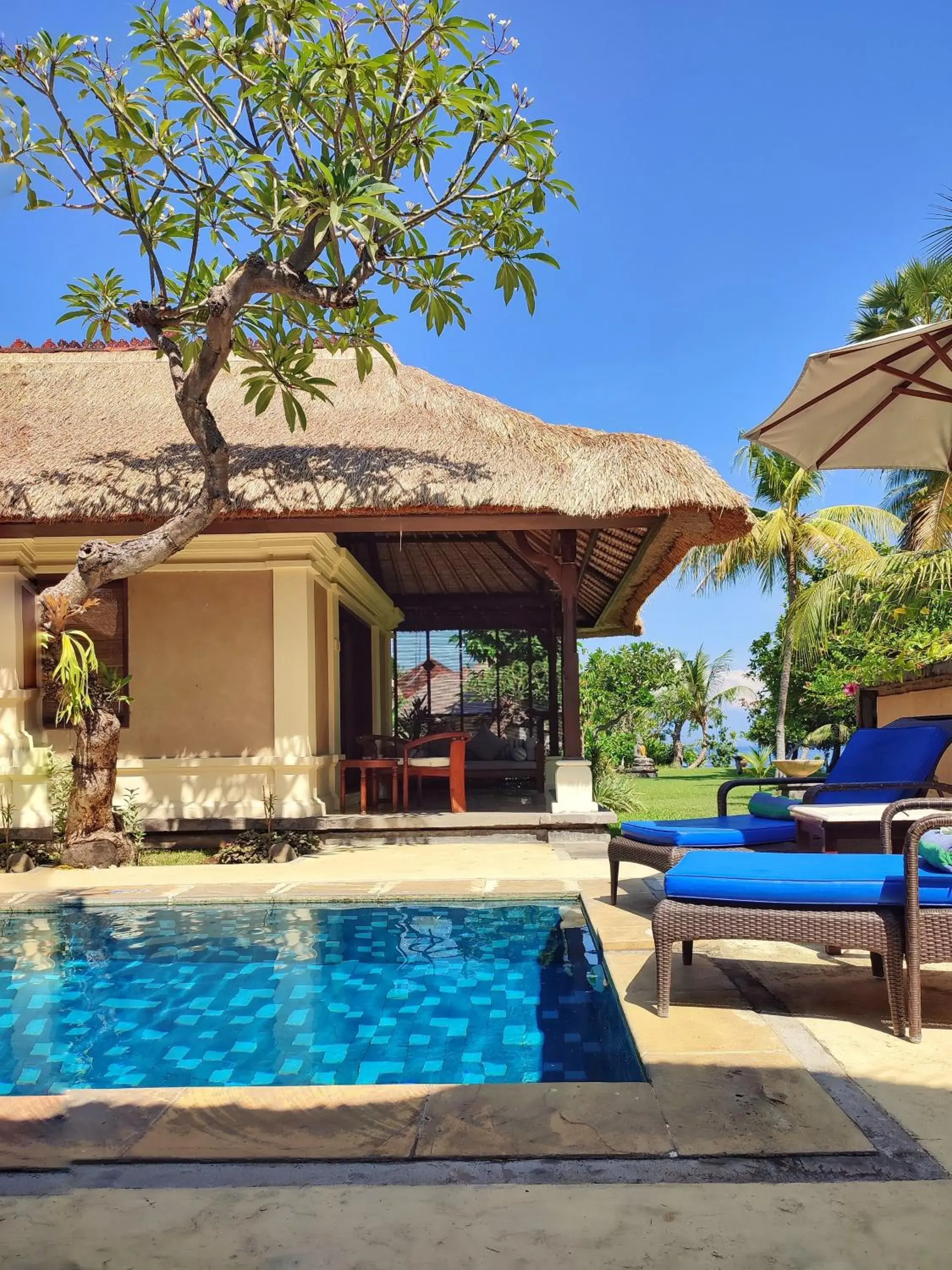 Swimming pool in Puri Bagus Lovina Swimming pool in Puri Bagus Lovina