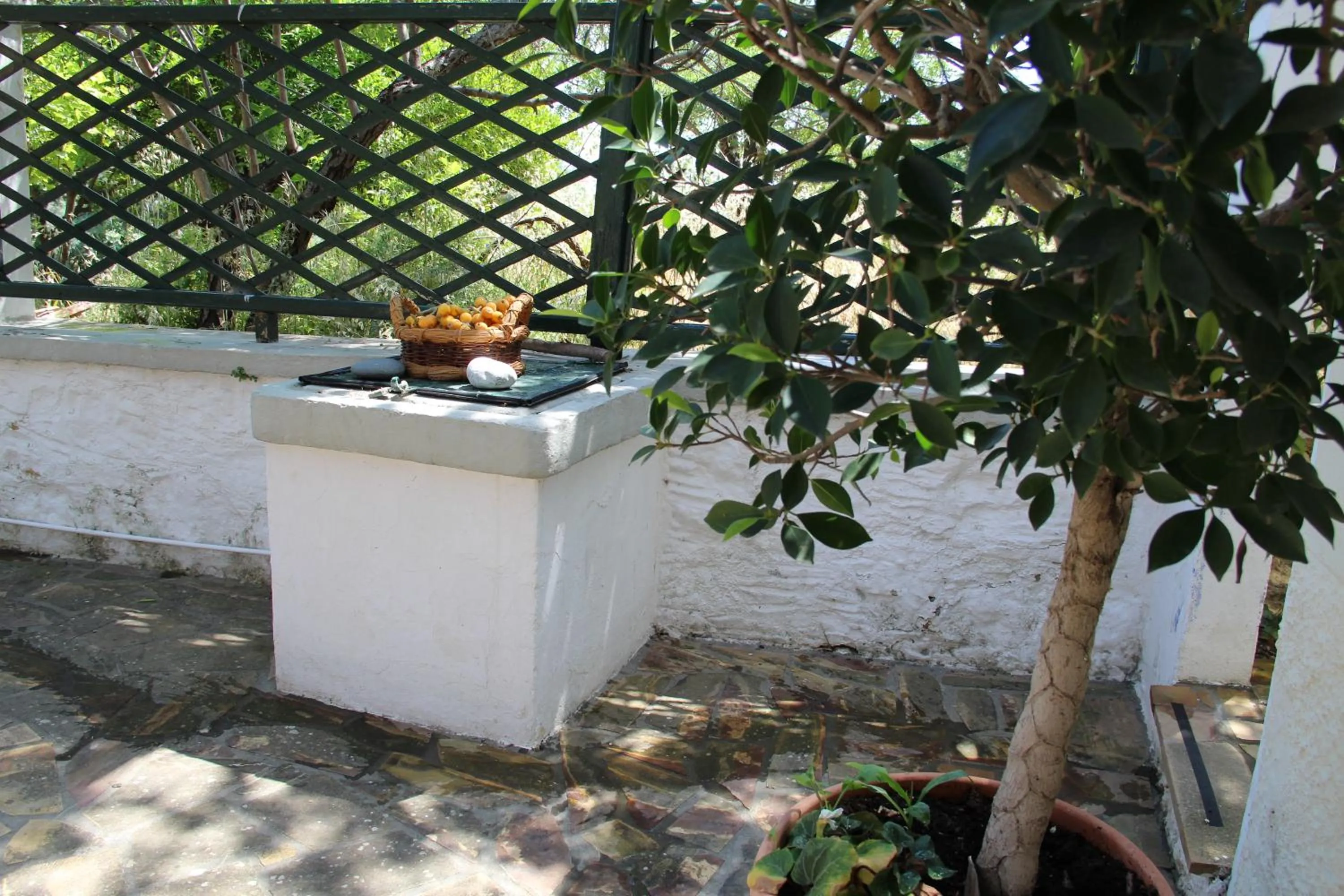 Garden in Chios Stone House
