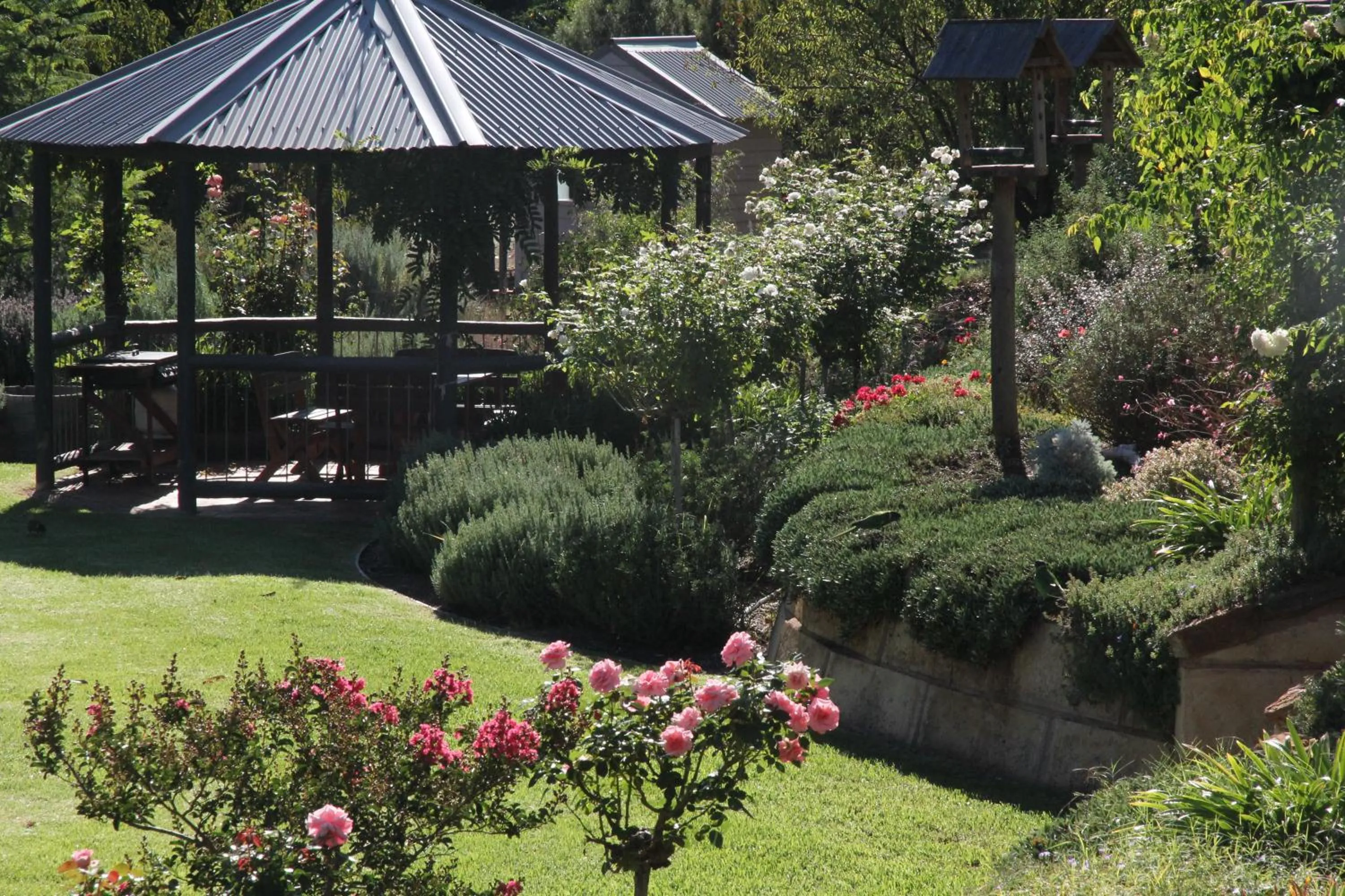 Garden in Rickaty on Blackwood