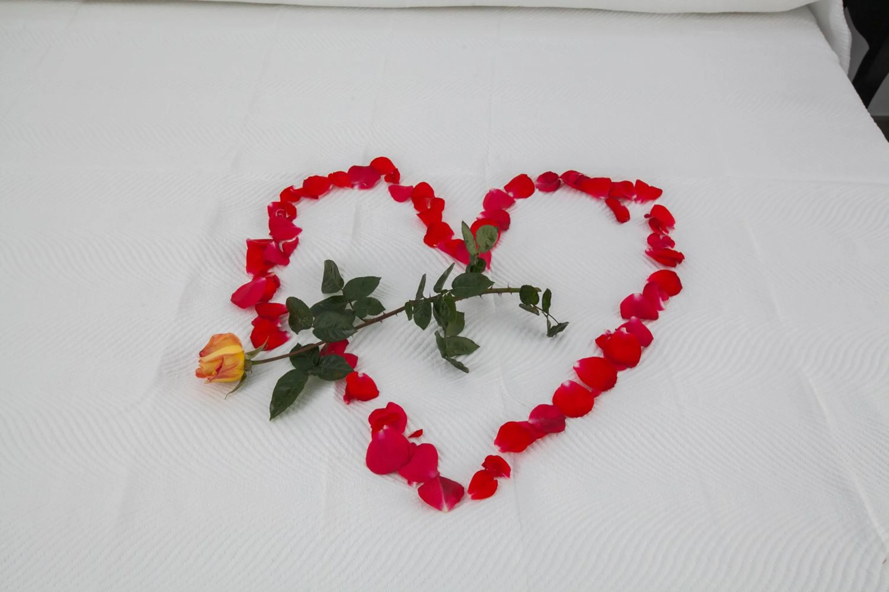 Decorative detail, Bed in Hostal Boutique Bajamar