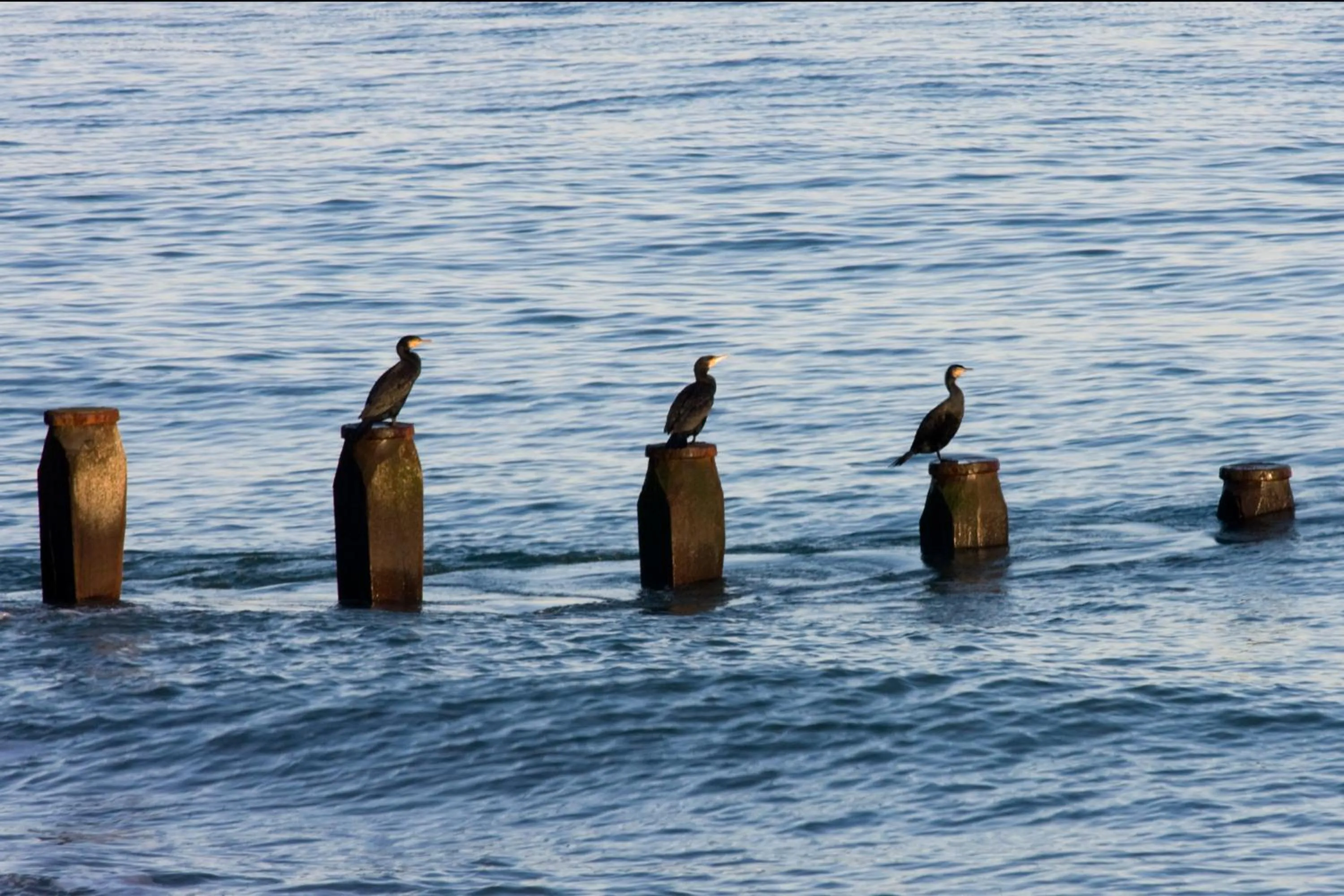 Beach in Gyves House