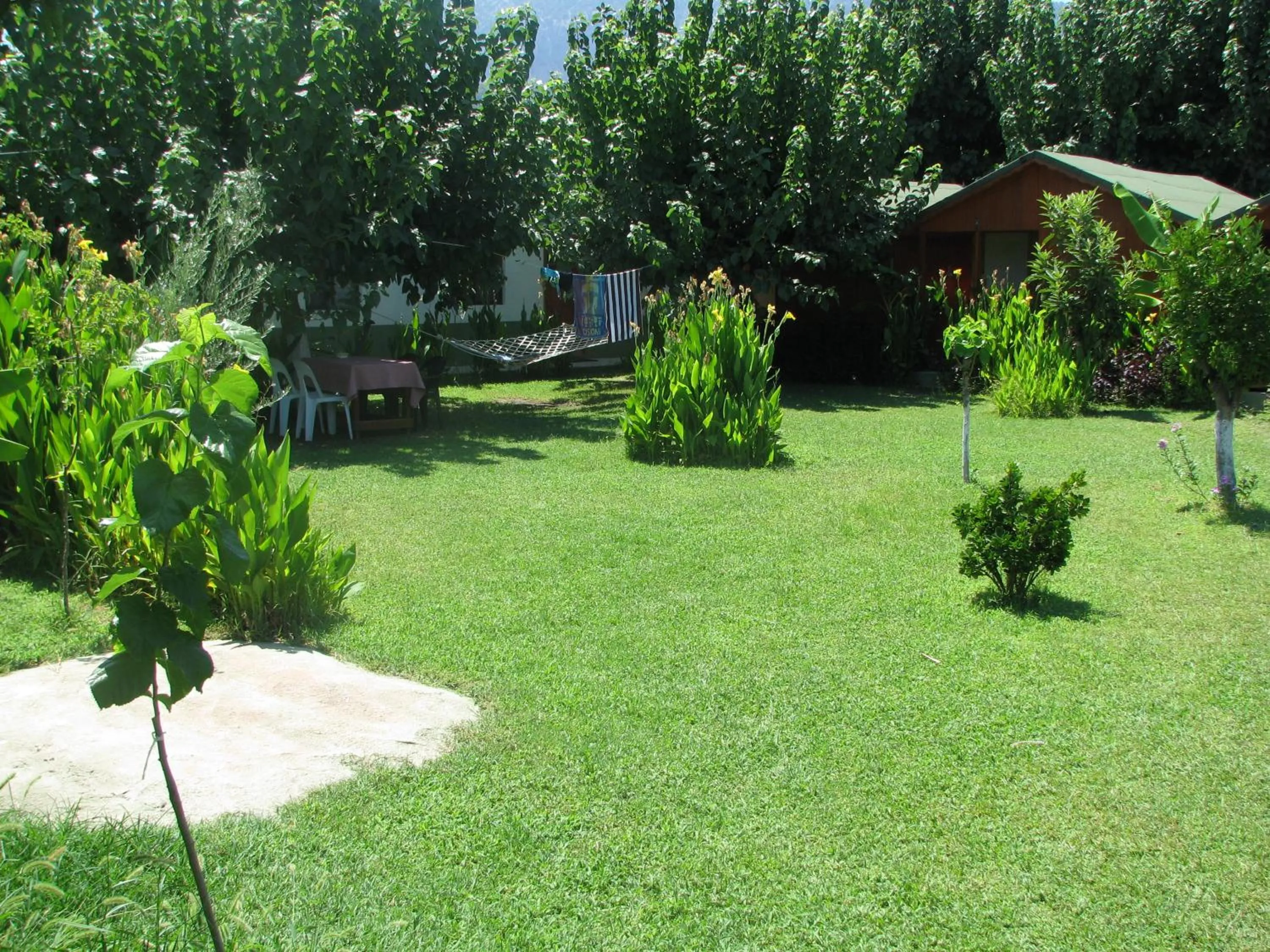 Garden in Alibaba Pension