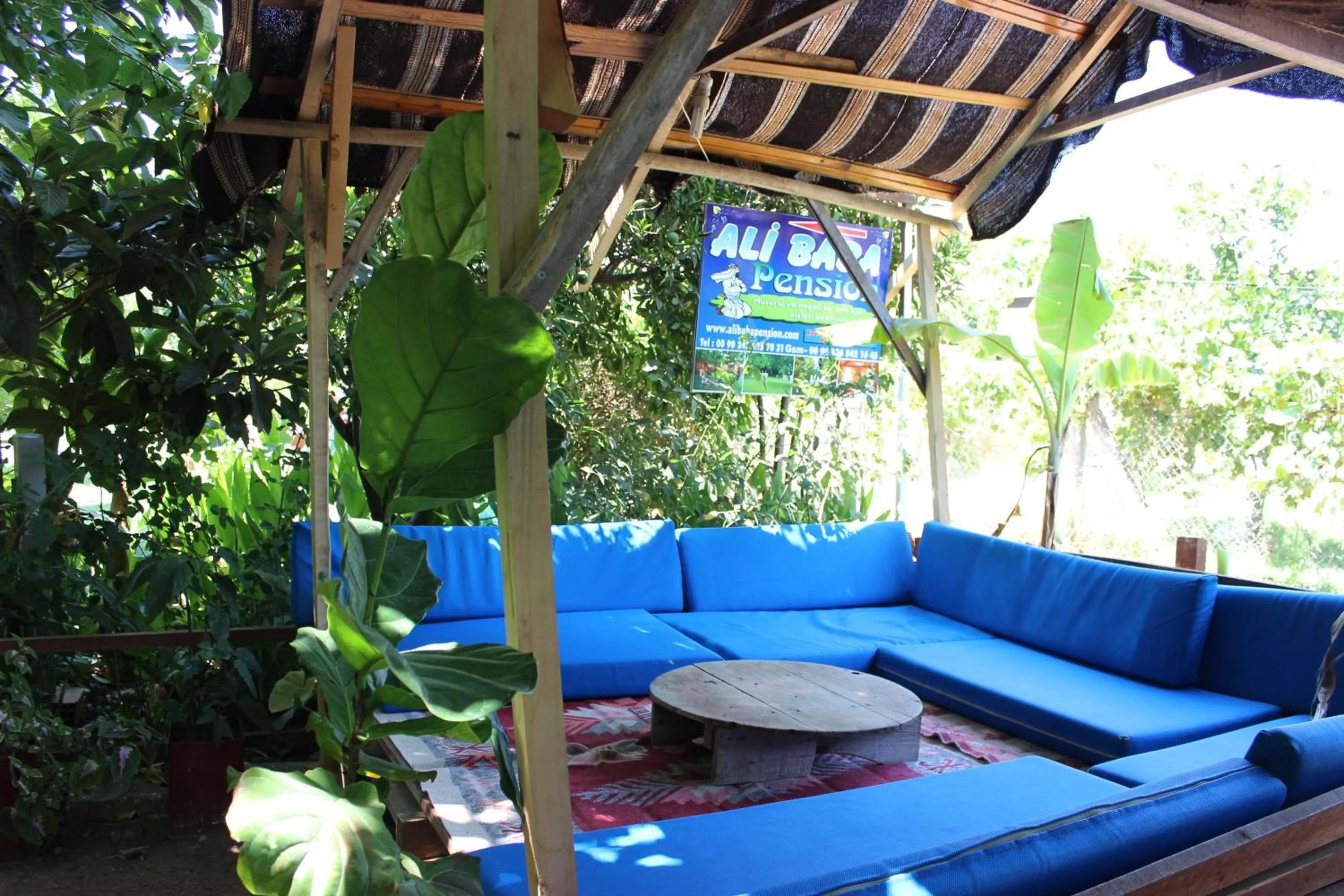 Patio in Alibaba Pension