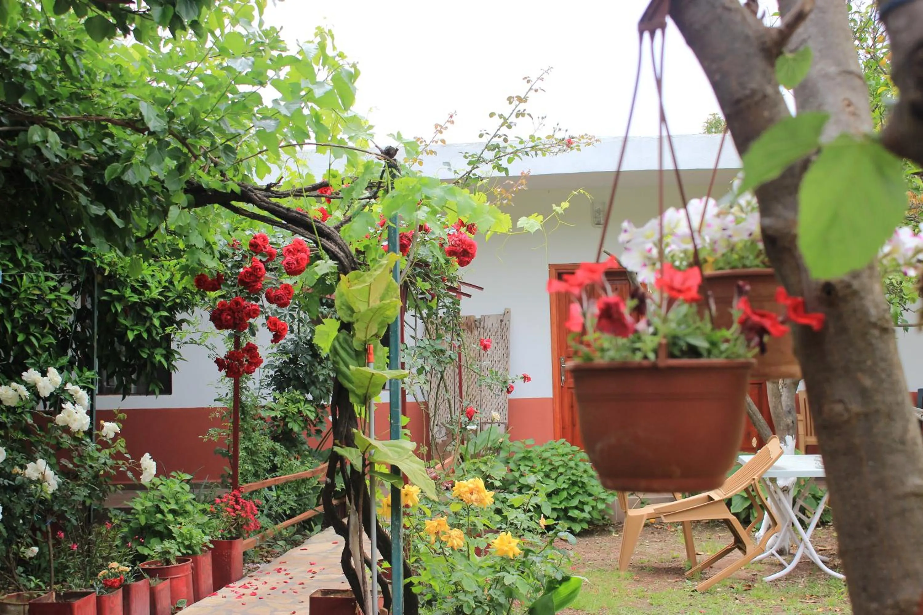 Garden in Alibaba Pension