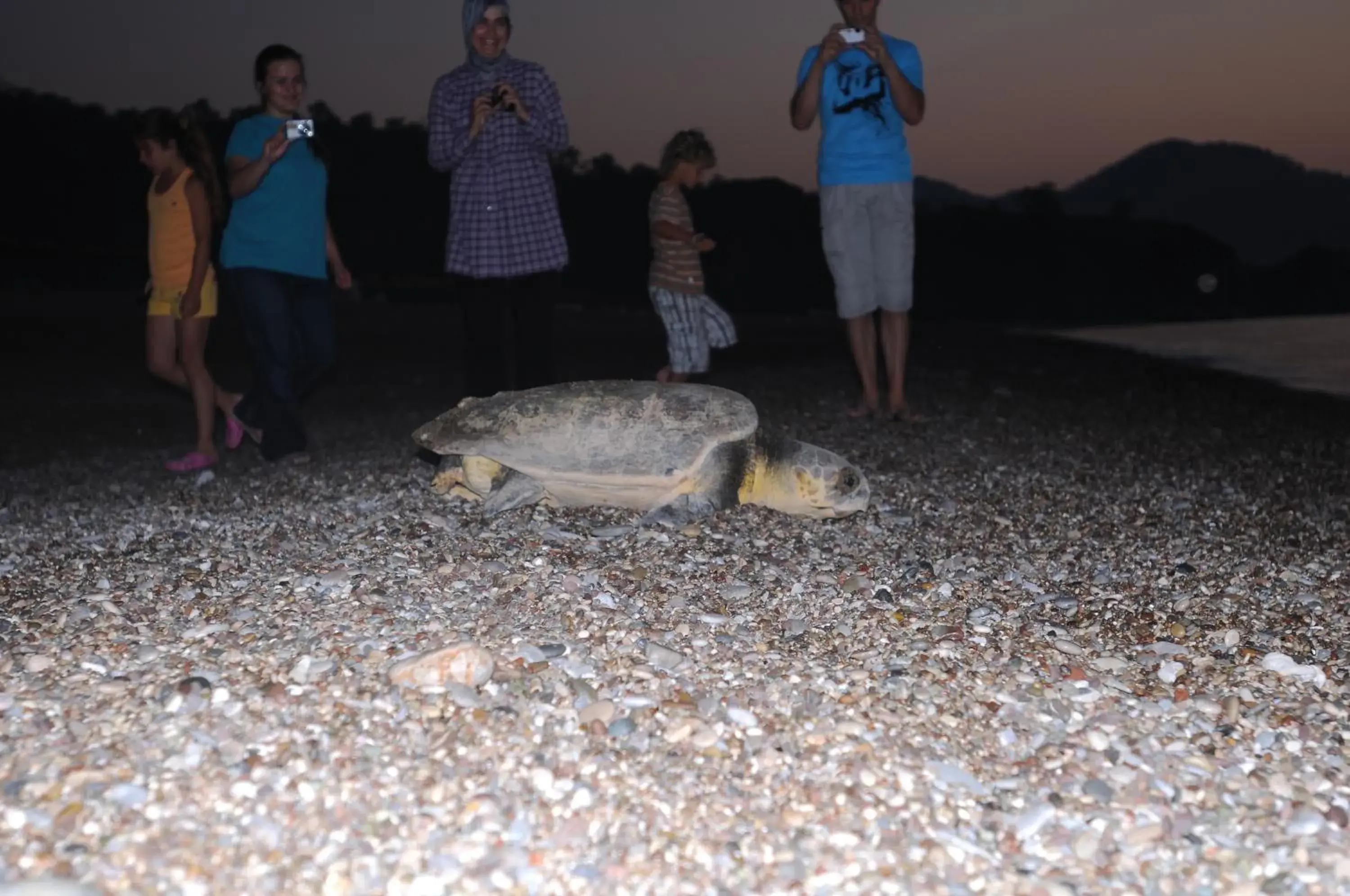 View (from property/room) in Alibaba Pension View (from property/room) in Alibaba Pension