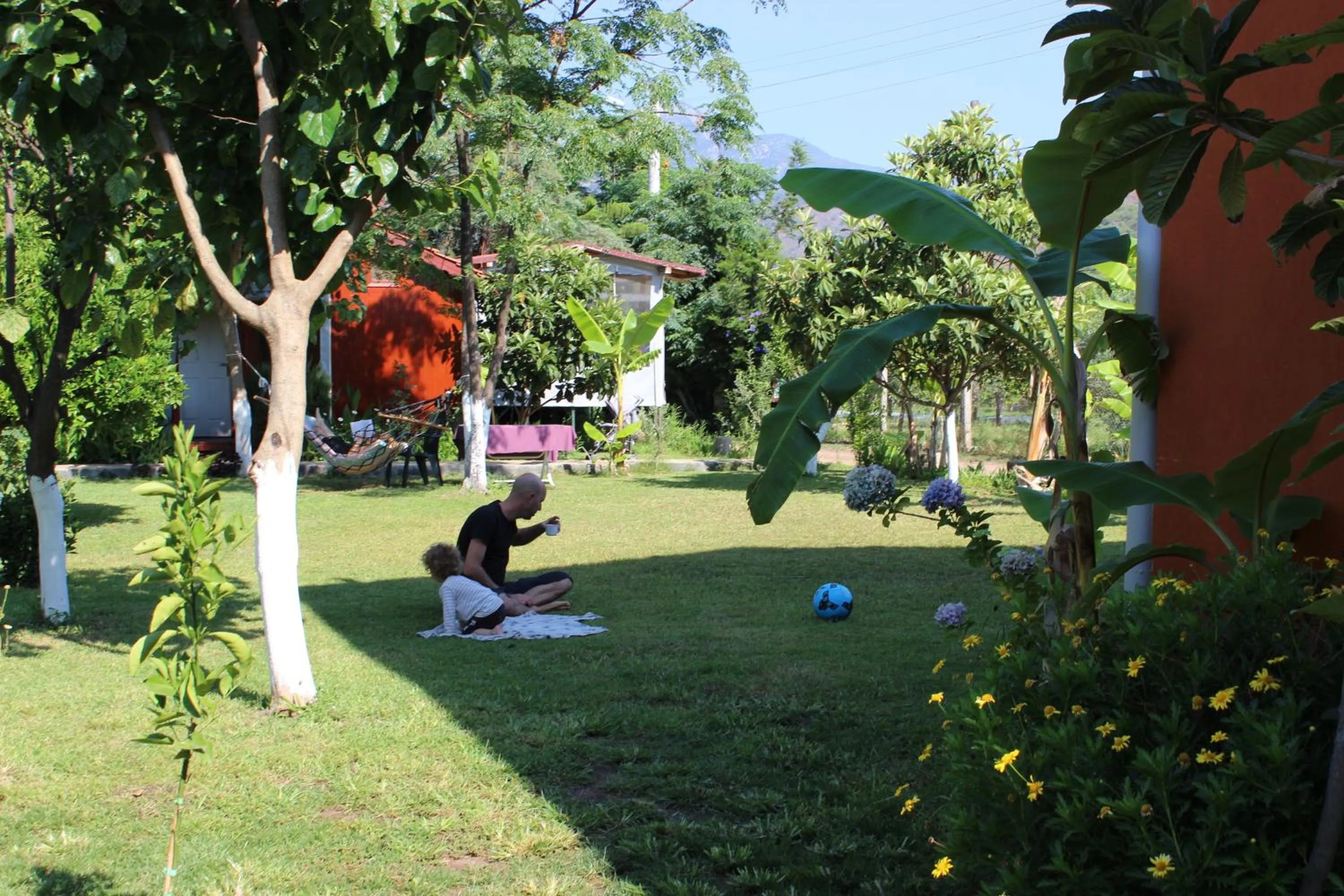 Garden in Alibaba Pension