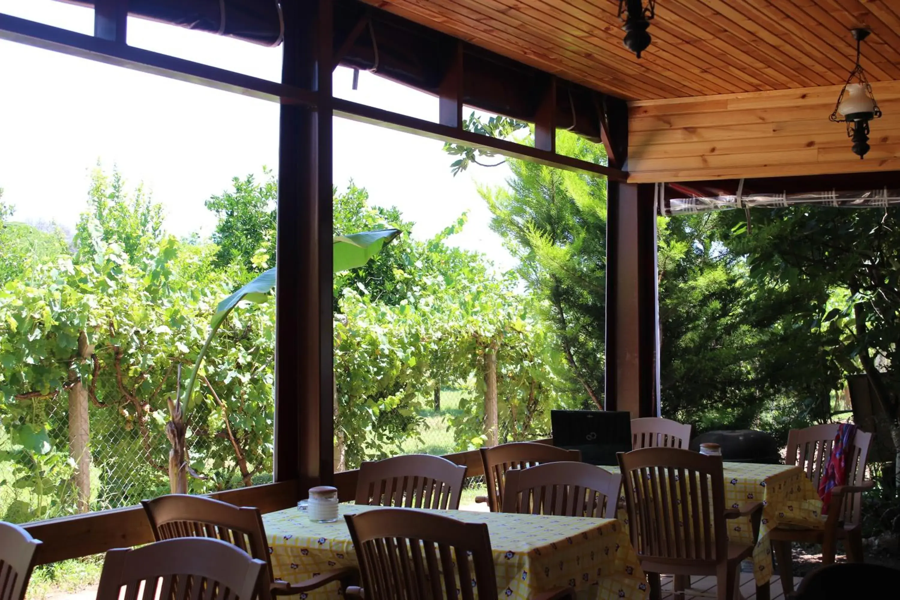 Restaurant/places to eat in Alibaba Pension Restaurant/places to eat in Alibaba Pension