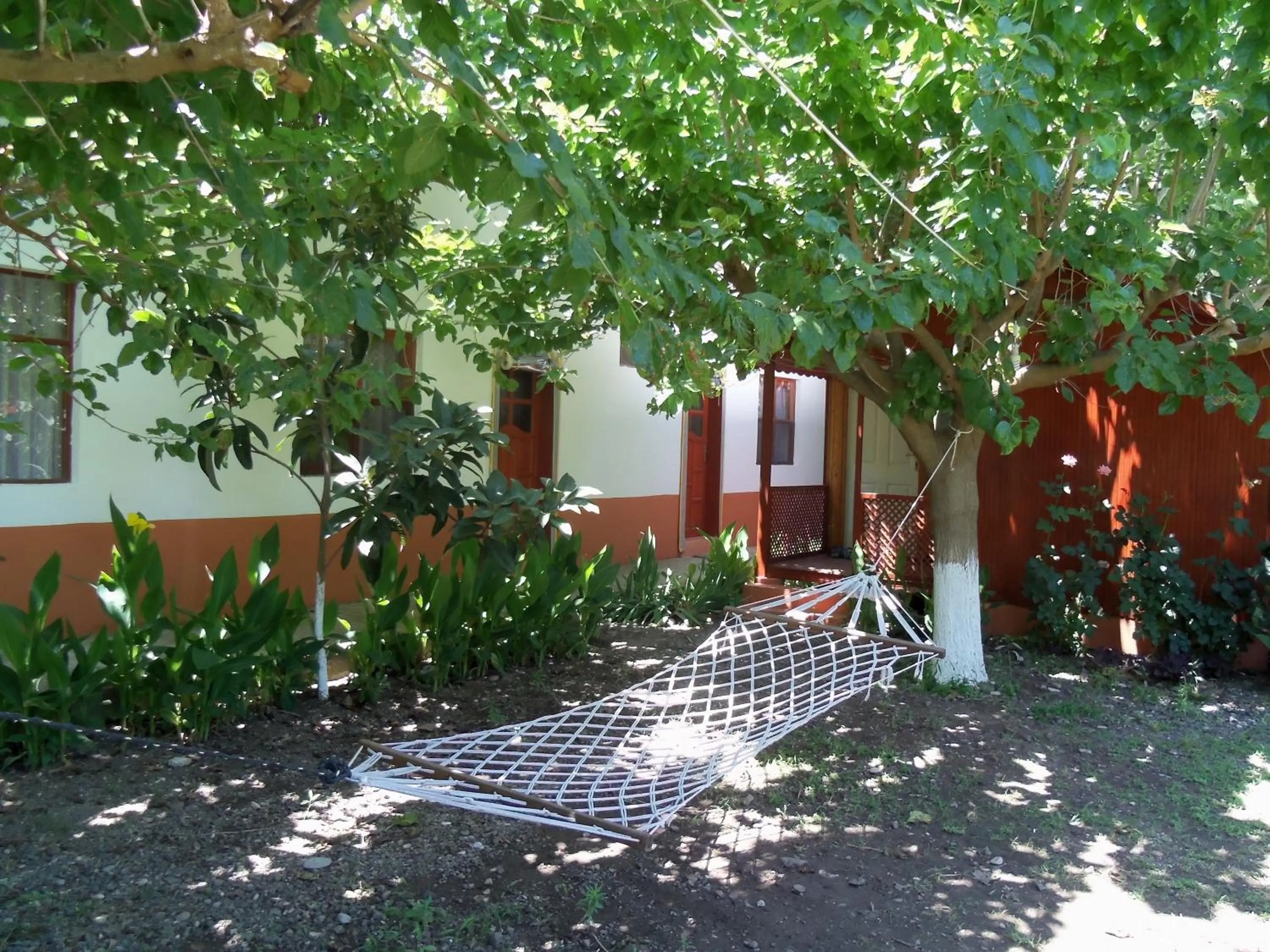 Other in Alibaba Pension