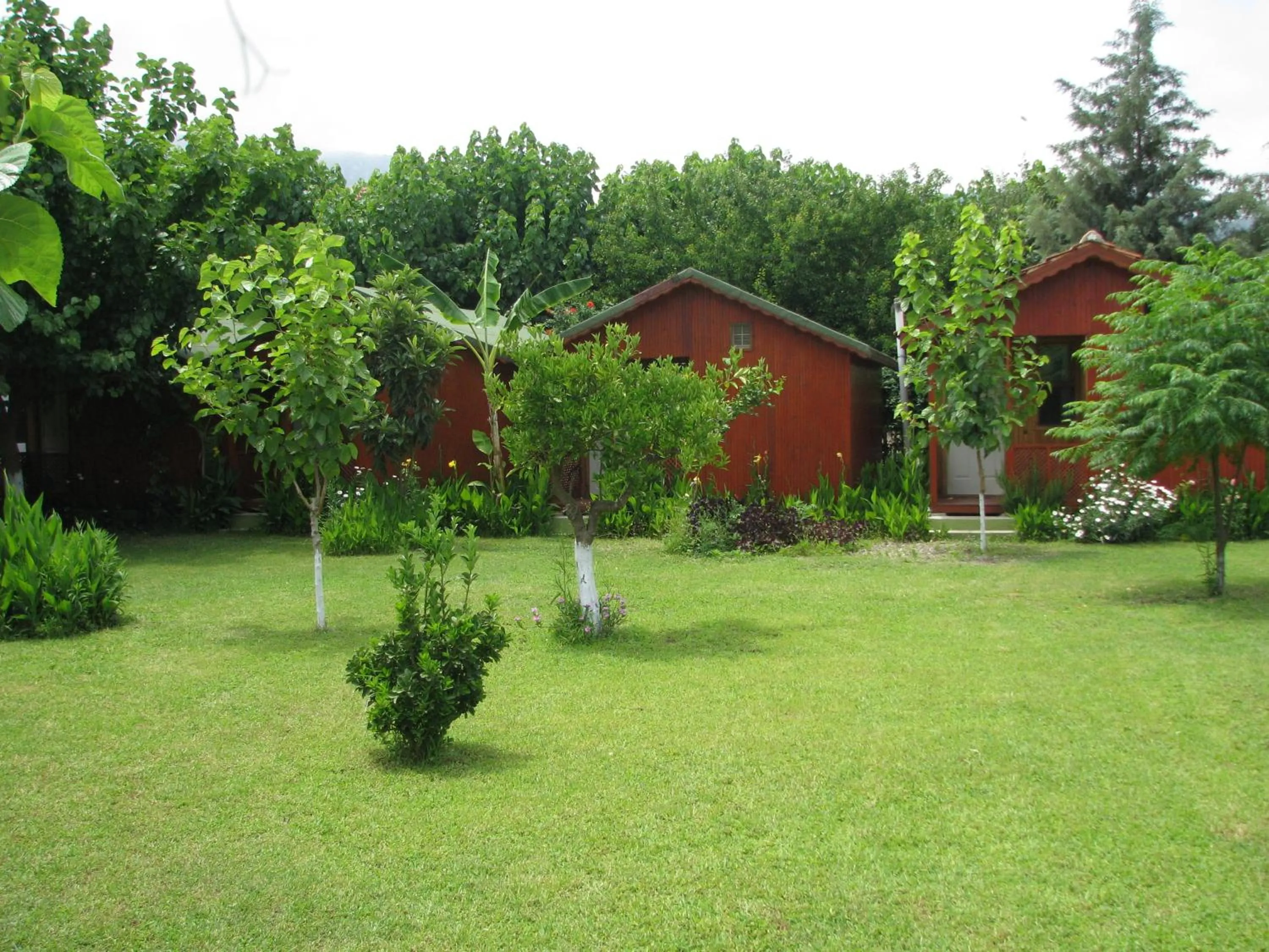 Garden in Alibaba Pension