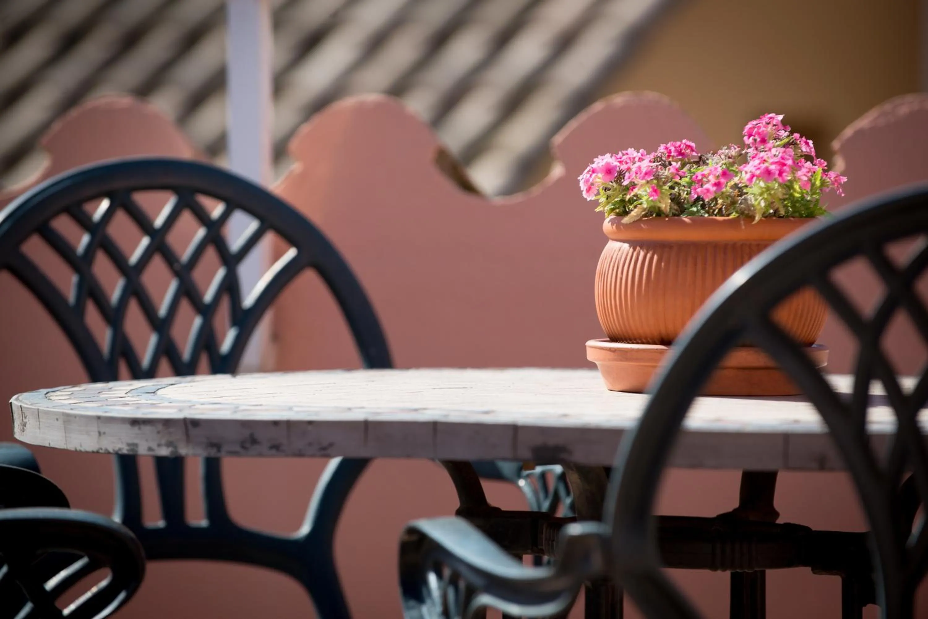 Solarium in Hotel Plaça