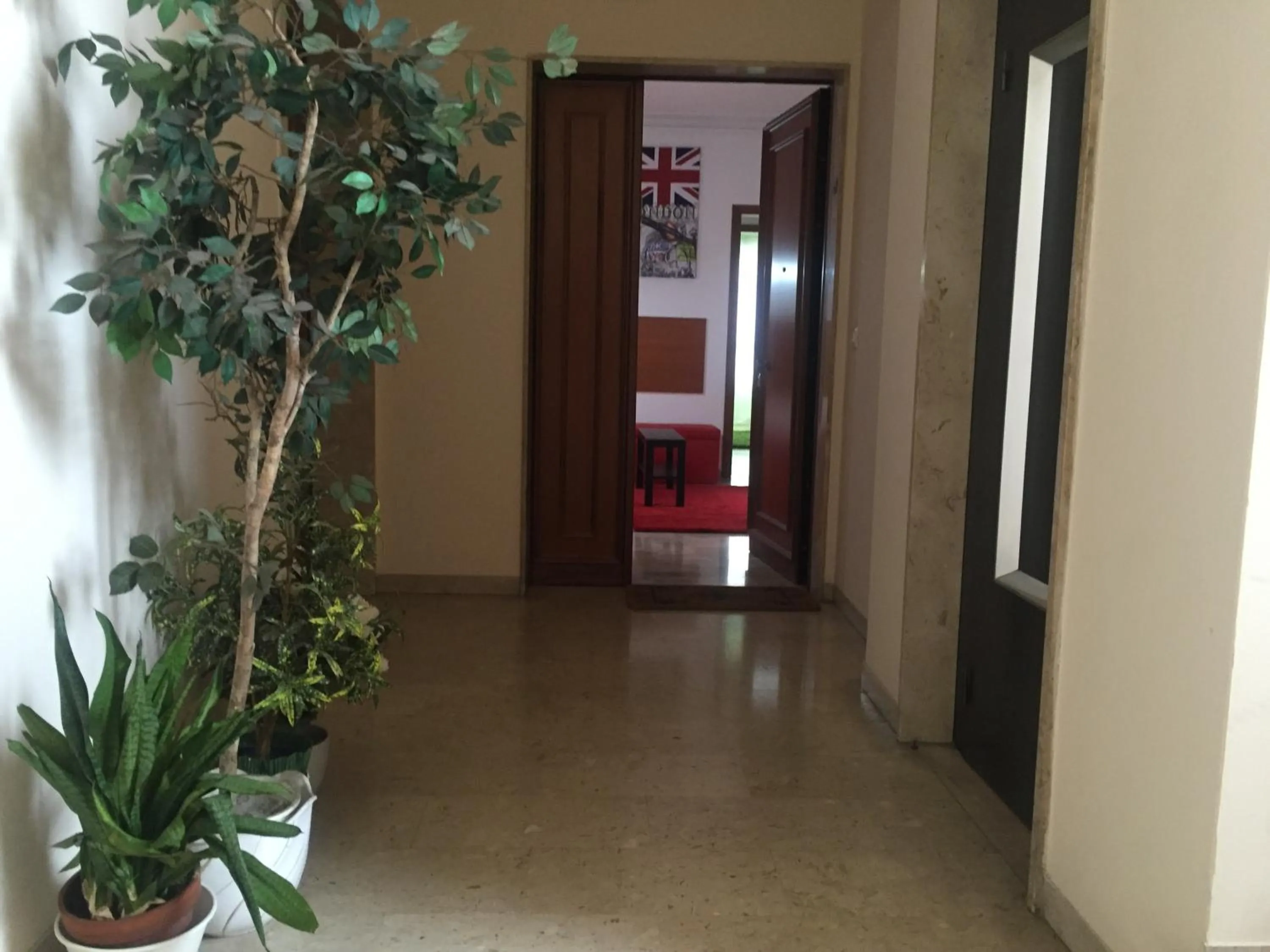 Other in Venice Dream