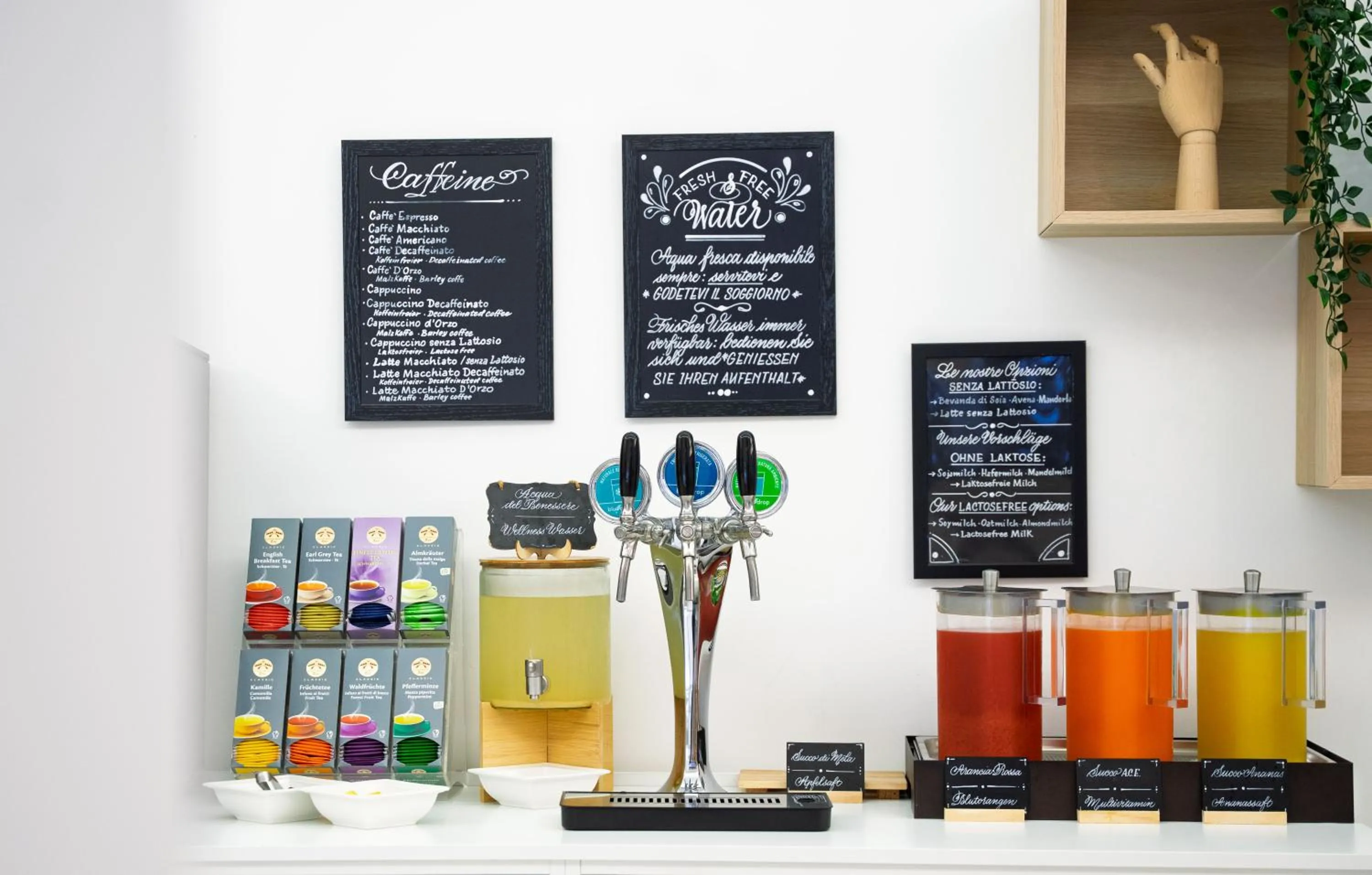 Food and drinks in Hotel Bahia