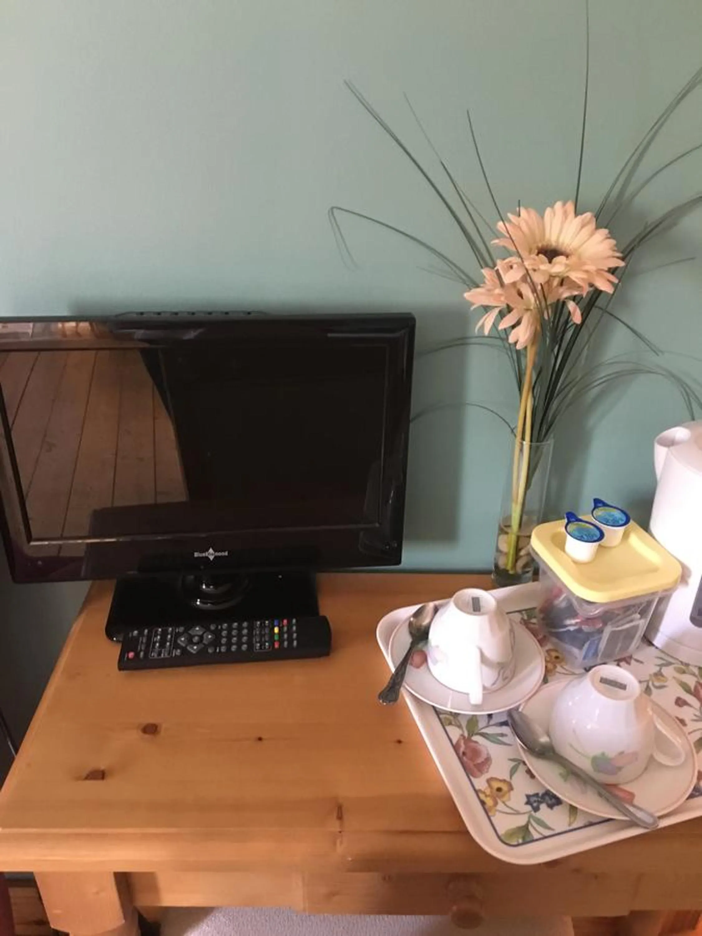 TV and multimedia in Heeneys Lodge B&B