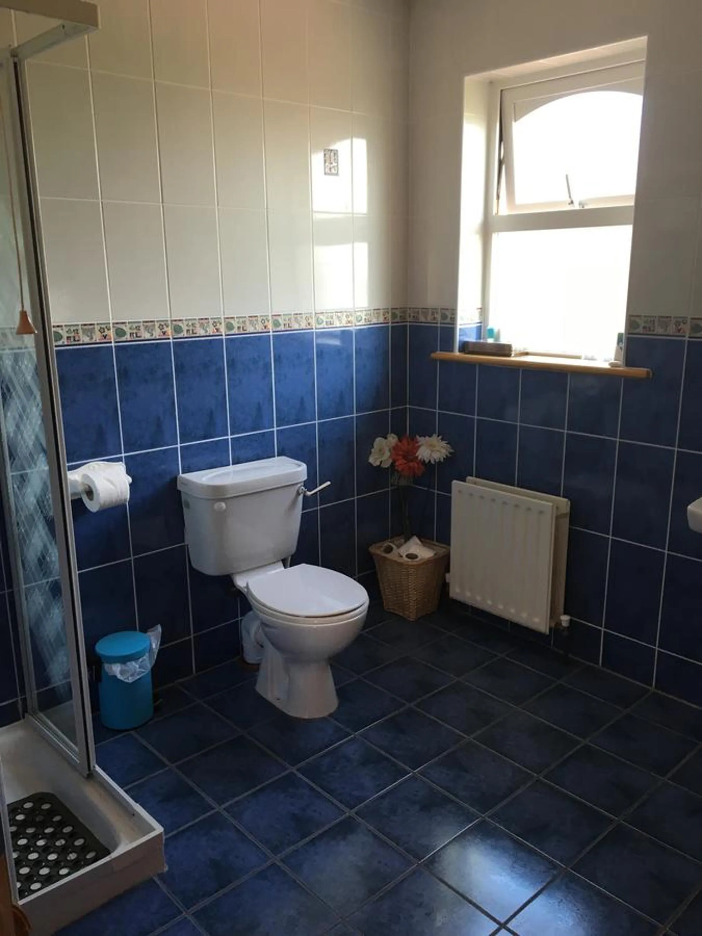 Toilet in Heeneys Lodge B&B