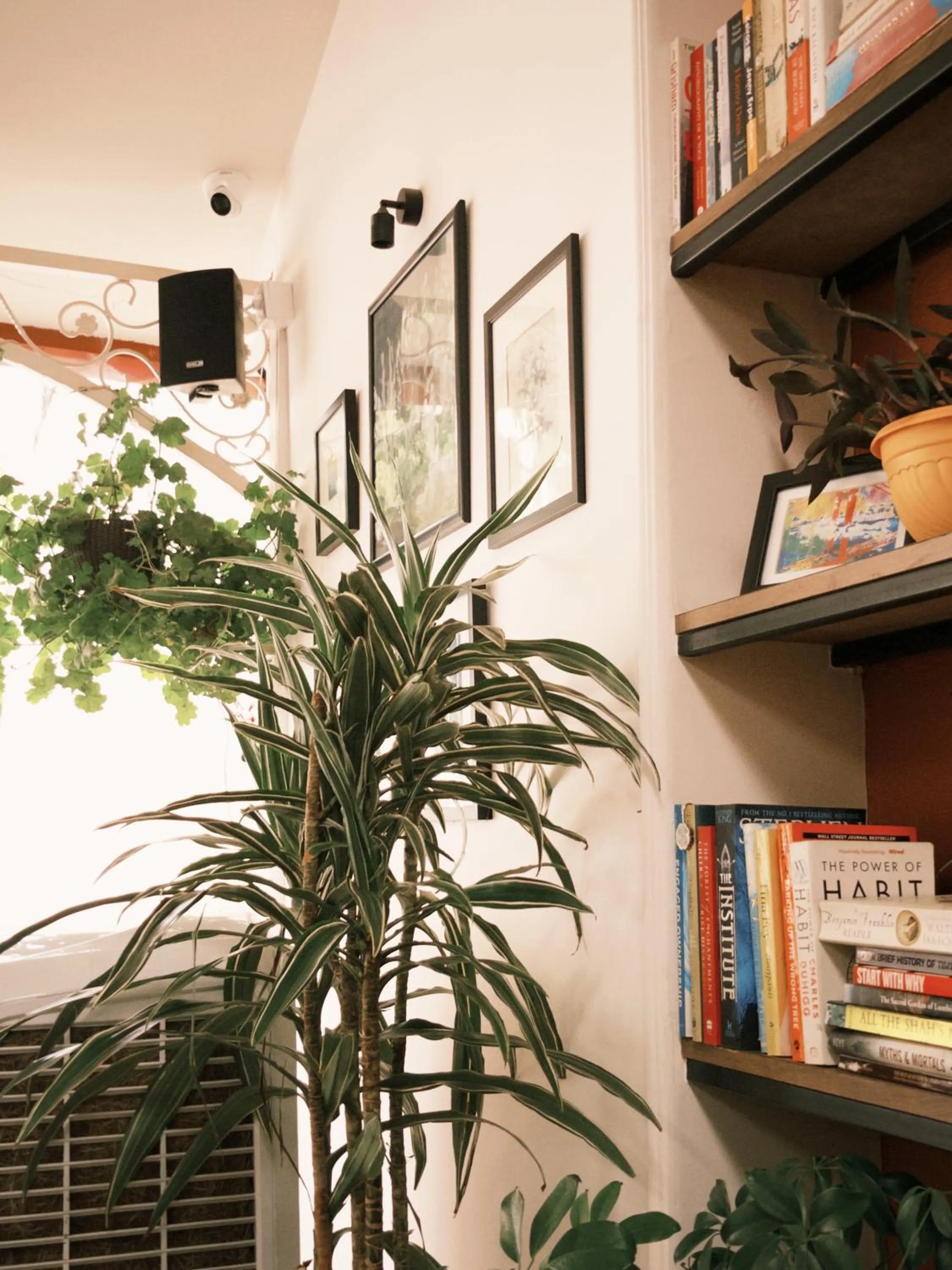 Restaurant/places to eat in Maya Manor Boutique Hotel by KGH Group