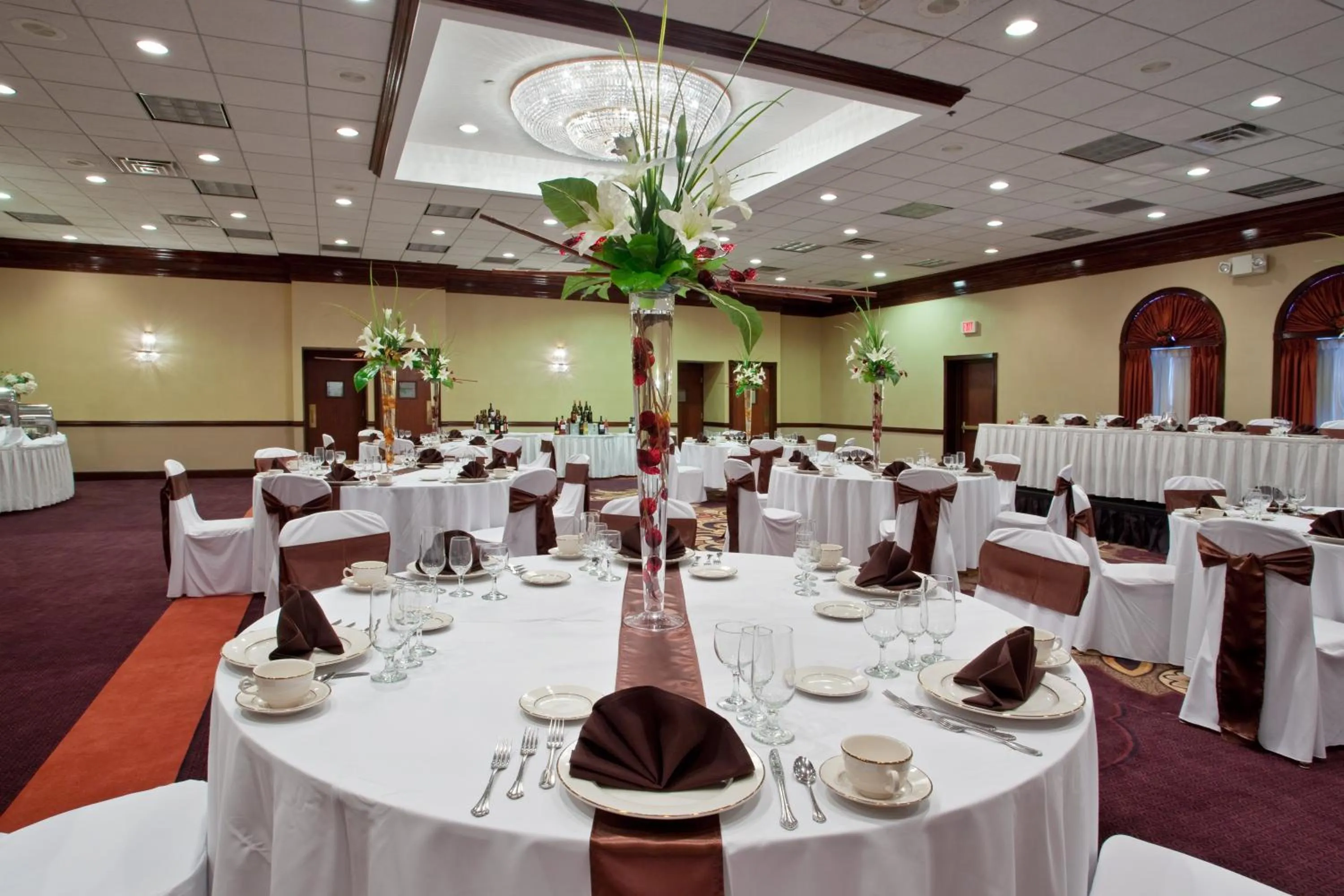 Banquet/Function facilities in Holiday Inn Youngstown-South - Boardman by IHG