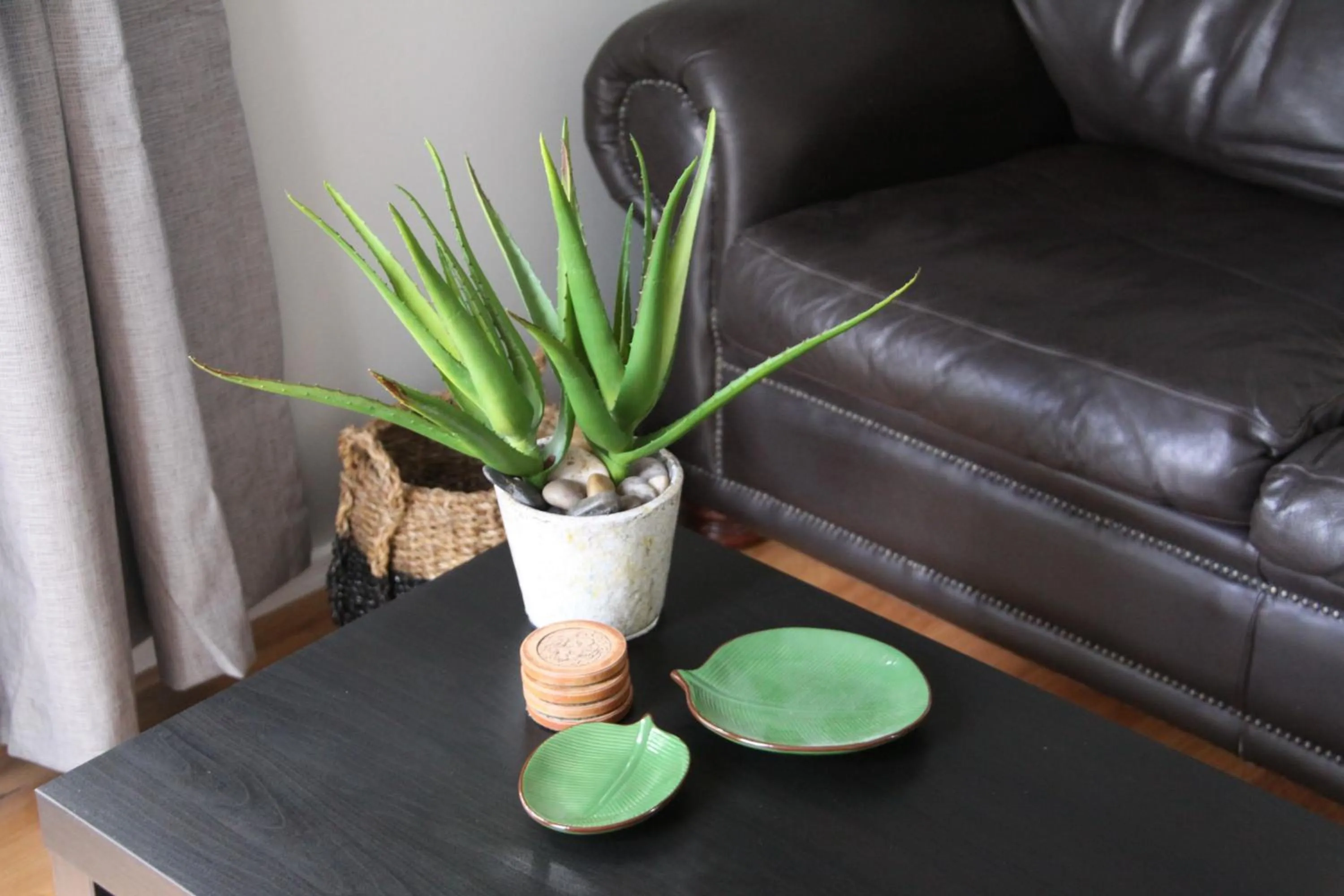 Living room in Paperbark Bed & Breakfast