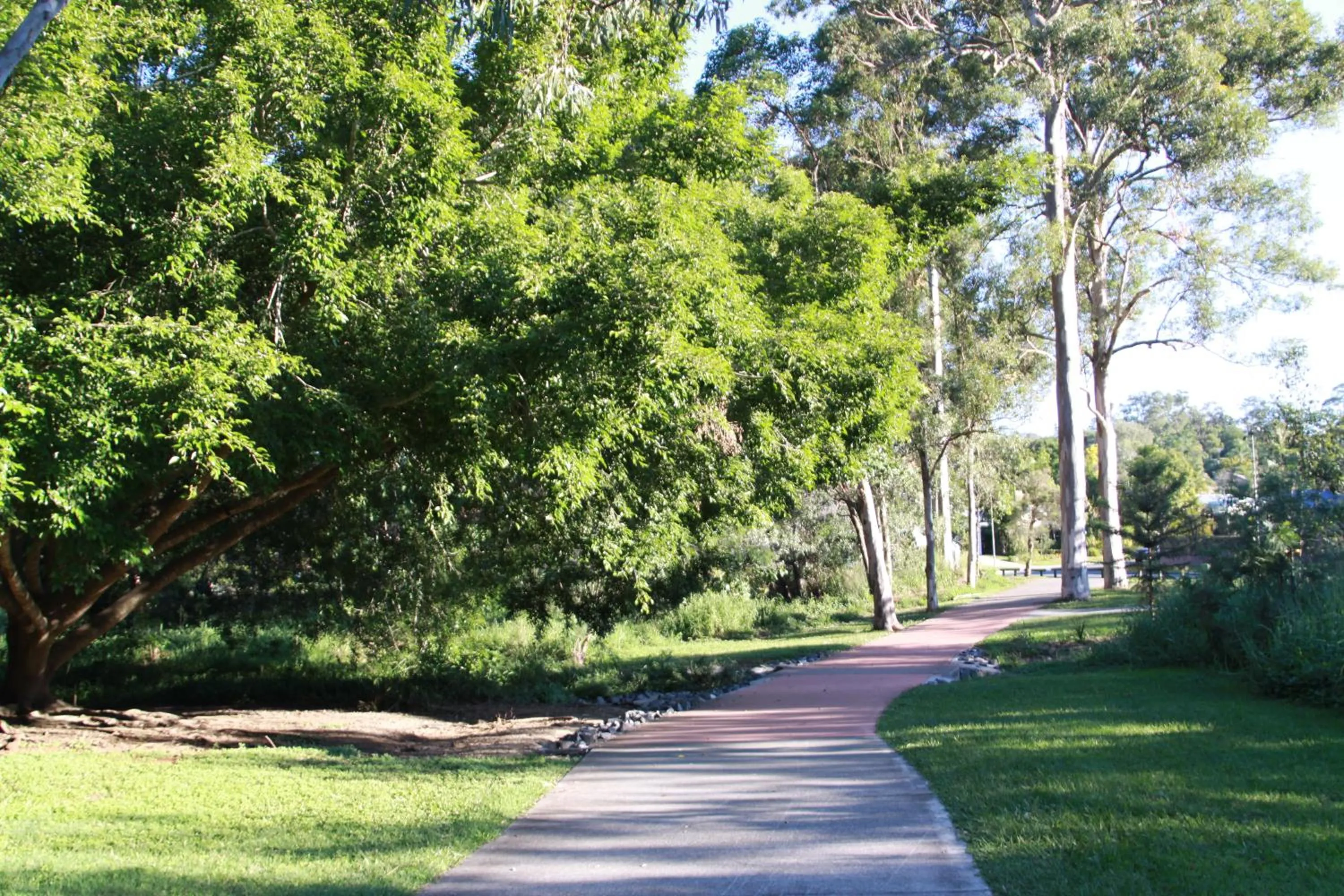 Natural landscape in Paperbark Bed & Breakfast