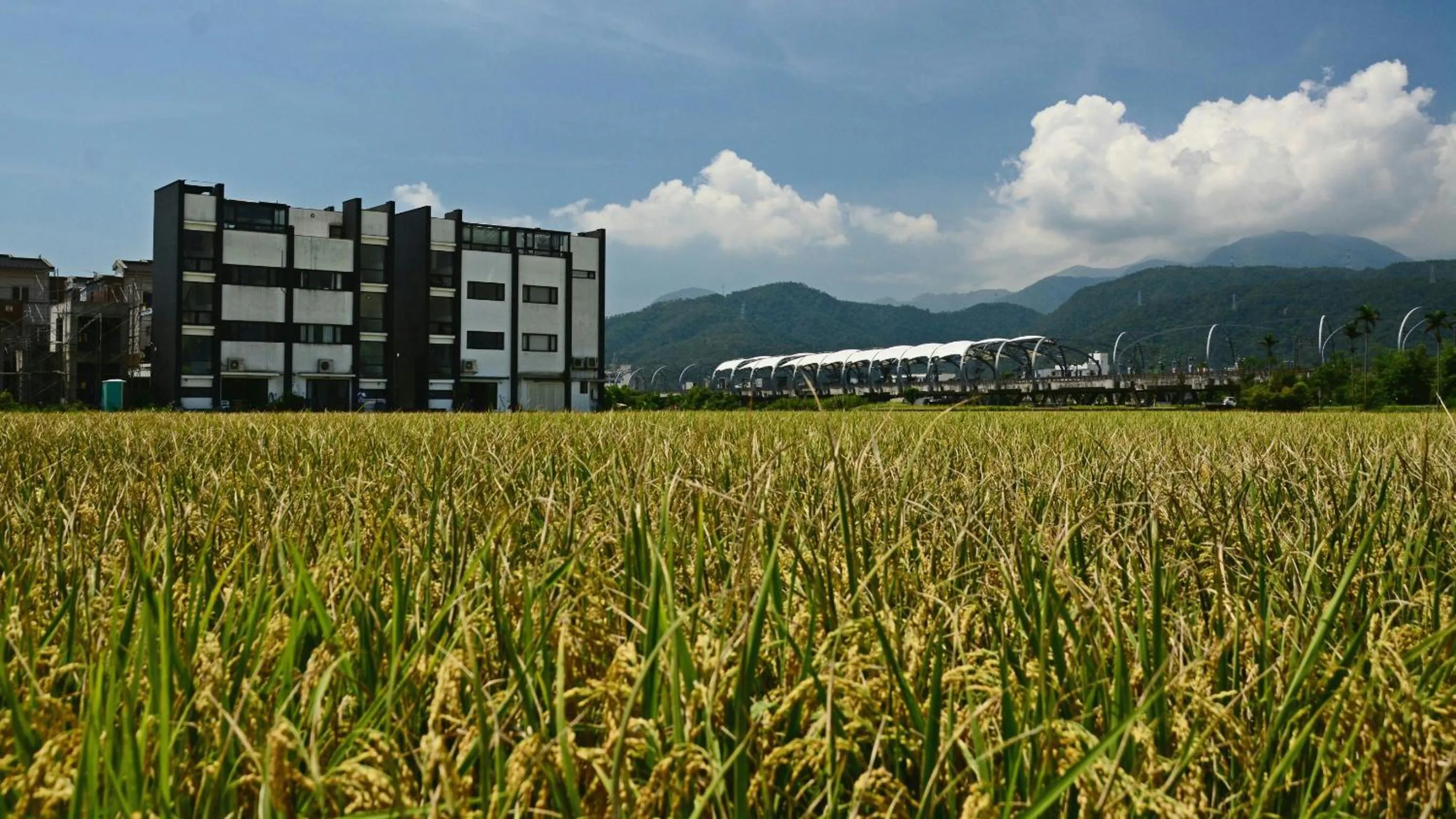 Property building in Hi Zebra Travel B&B