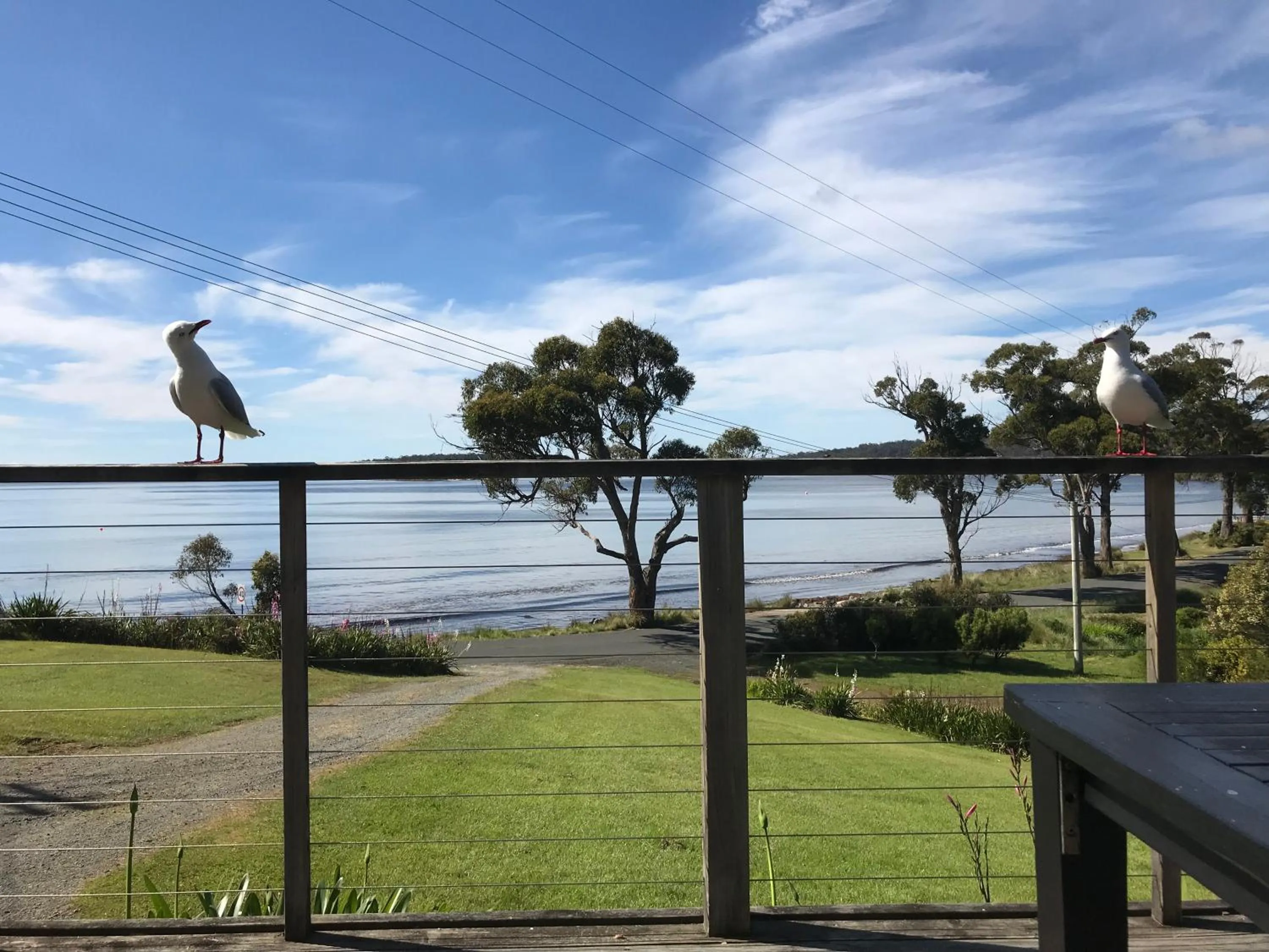 Sea view in Summertime Cottage