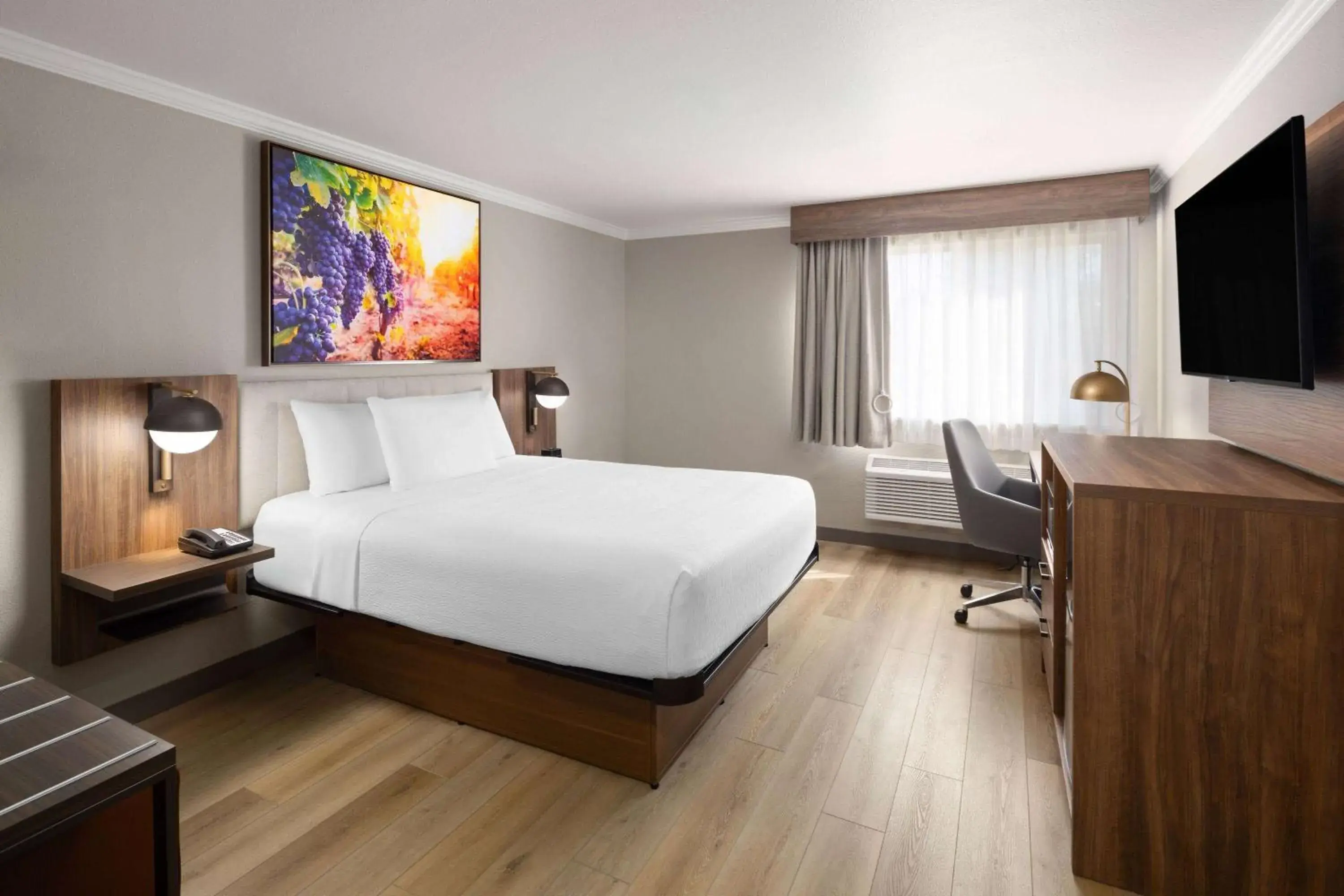 Queen Room with Roll-In Shower - Mobility Accessible/Non-Smoking in La Quinta Inn & Suites by Wyndham Yakima Downtown Queen Room with Roll-In Shower - Mobility Accessible/Non-Smoking in La Quinta Inn & Suites by Wyndham Yakima Downtown