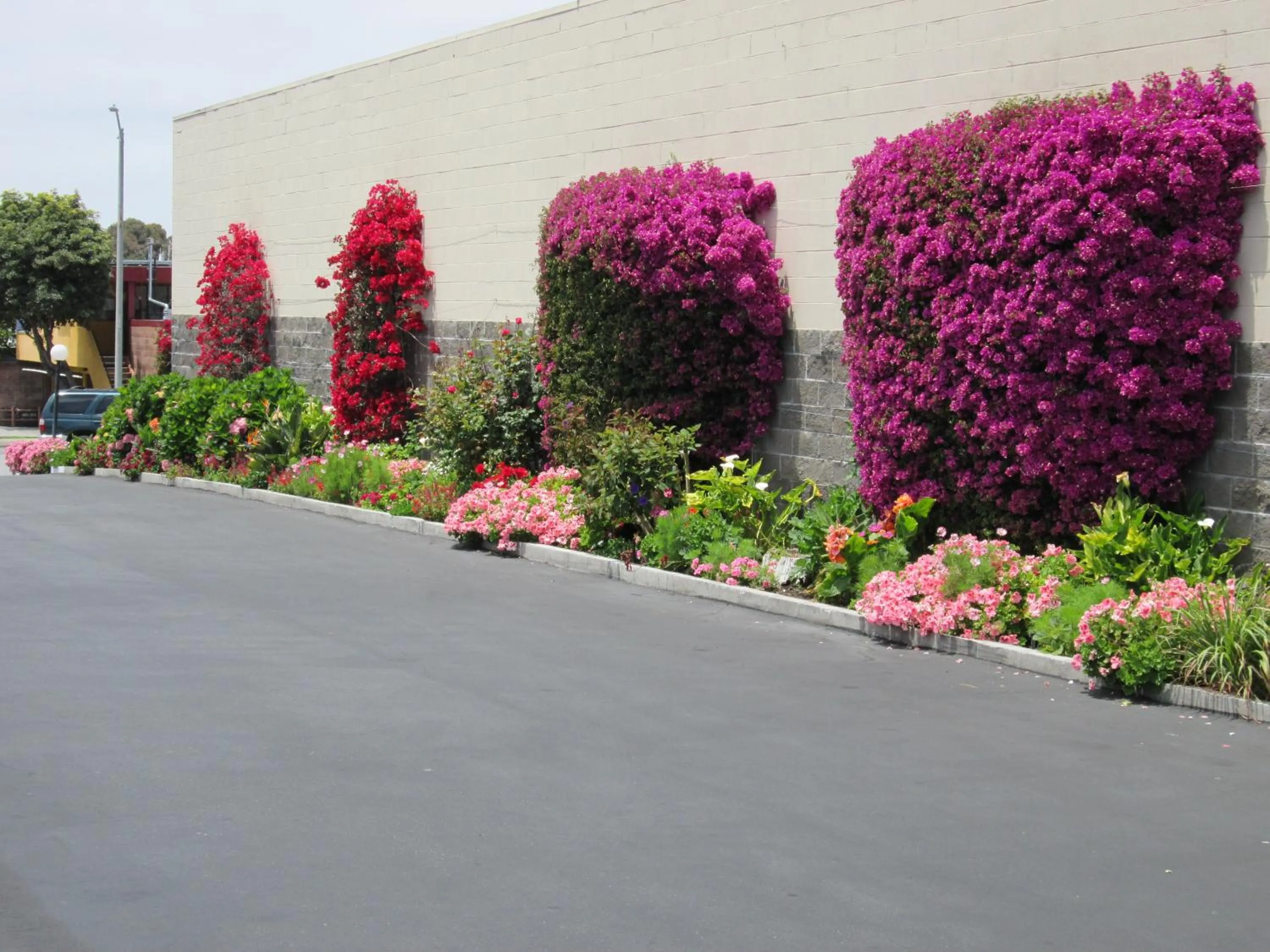 Other in Discovery Inn Monterey Bay