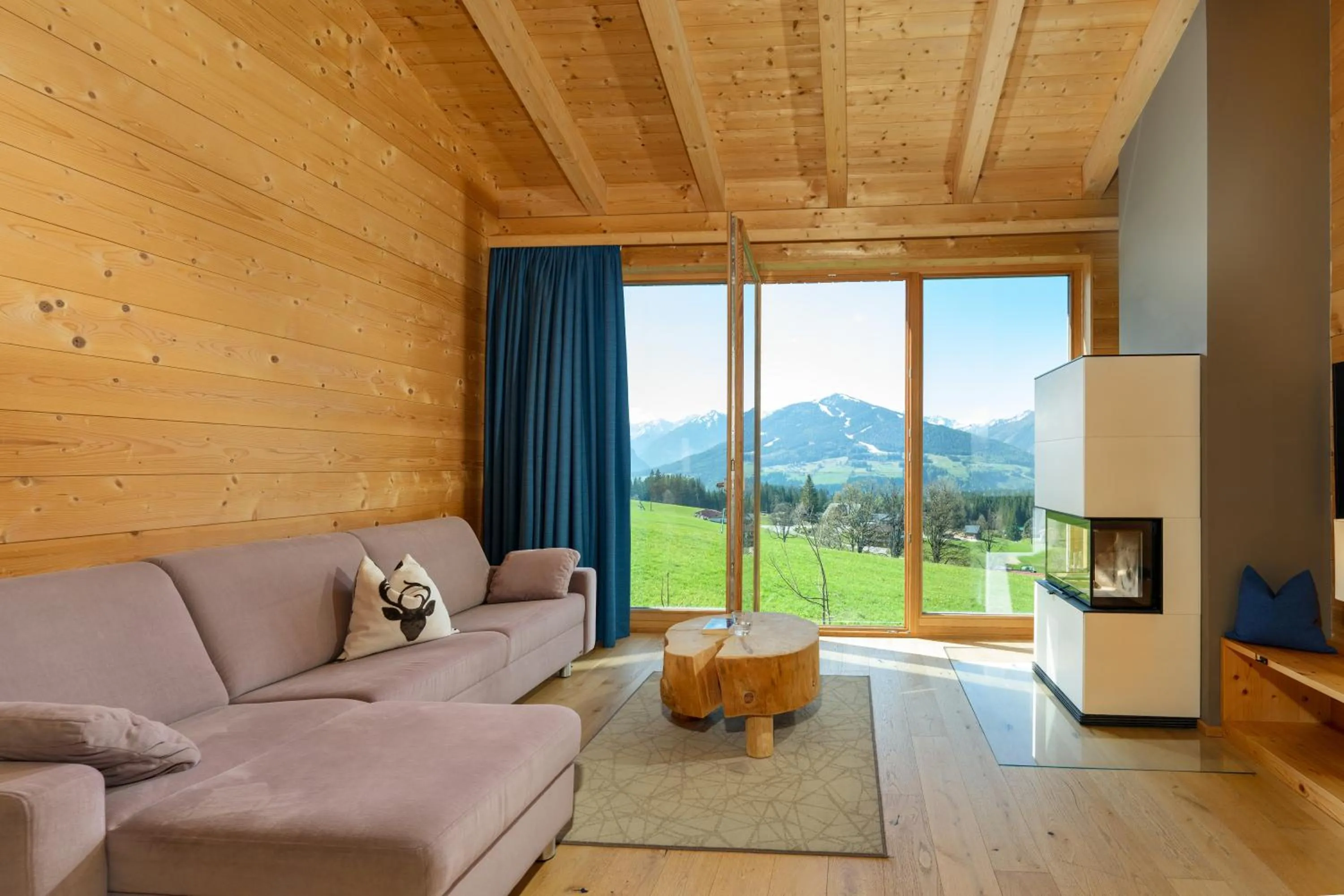 View (from property/room) in Rittis Alpin Chalets Dachstein