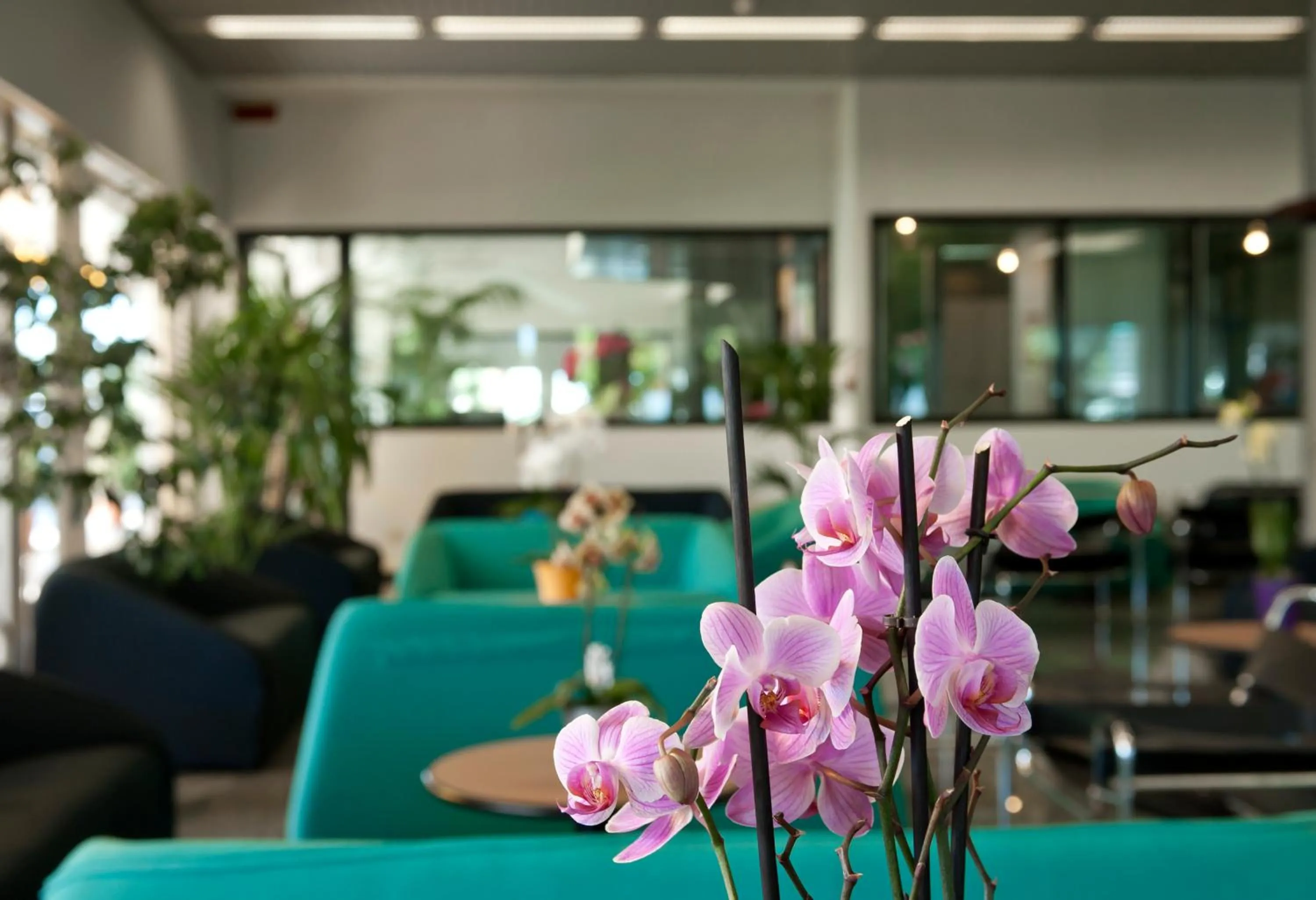 Other in Hotel Cormoran