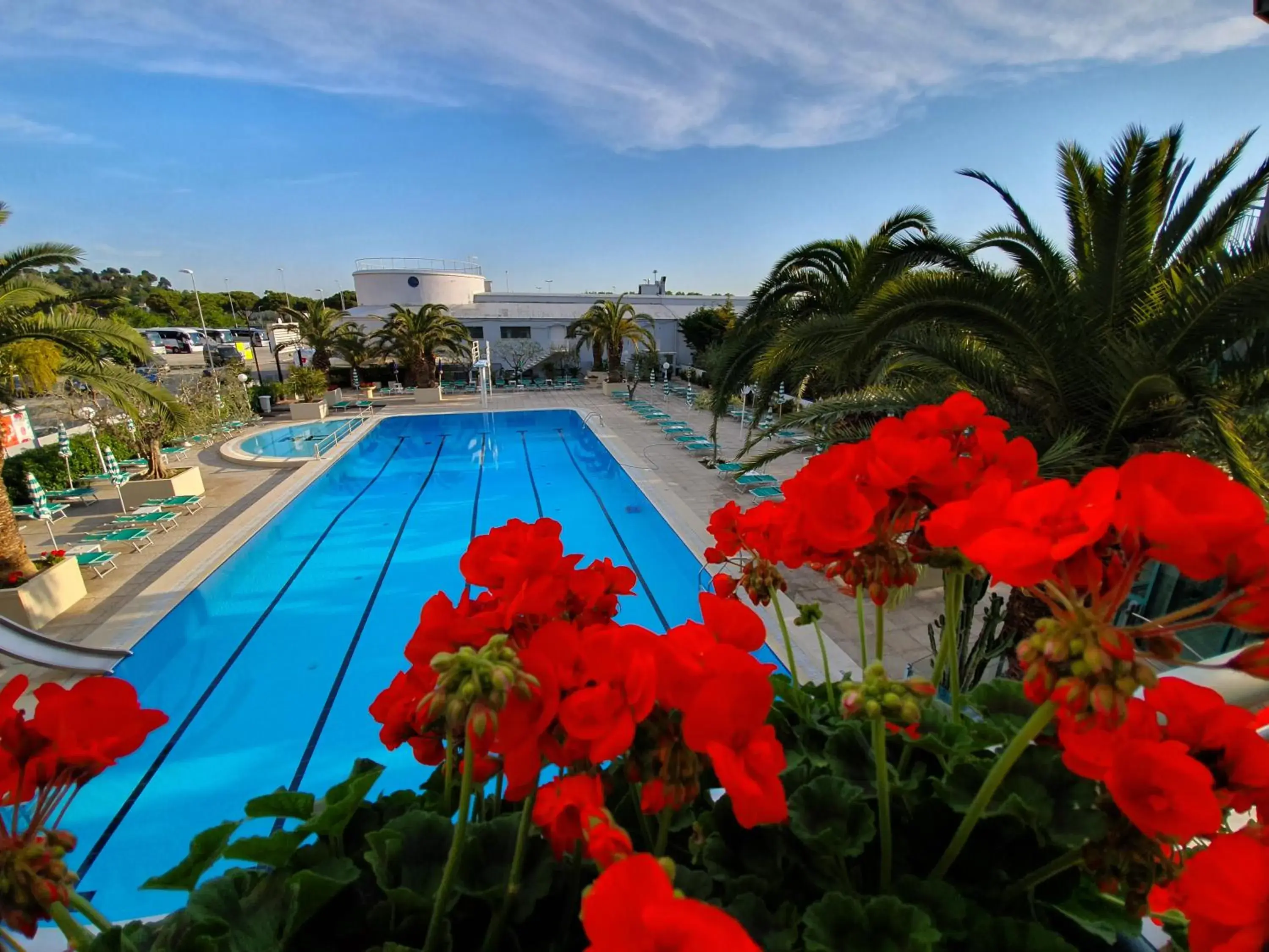 Pool view, Swimming Pool in Hotel Cormoran