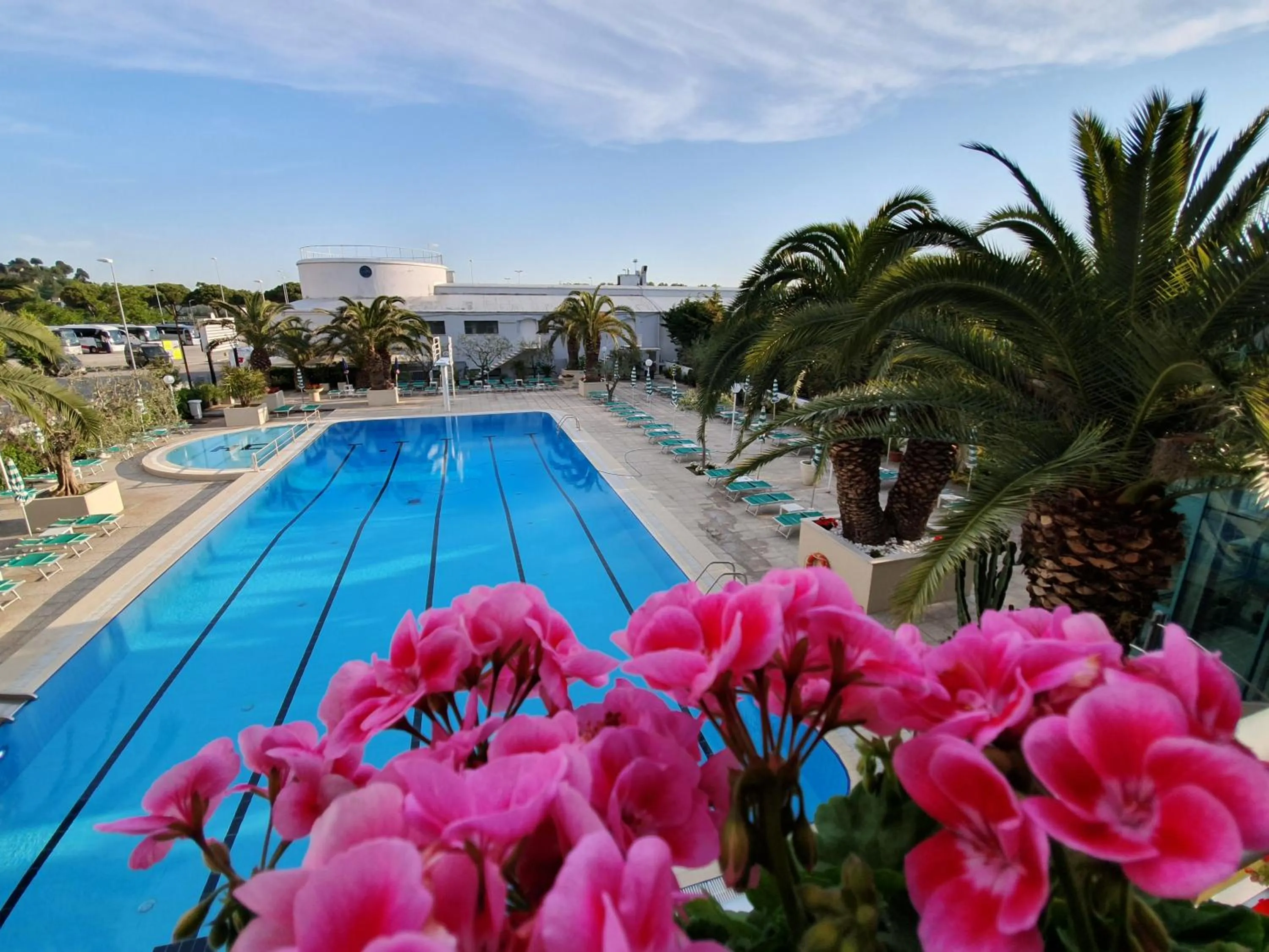 Pool view in Hotel Cormoran