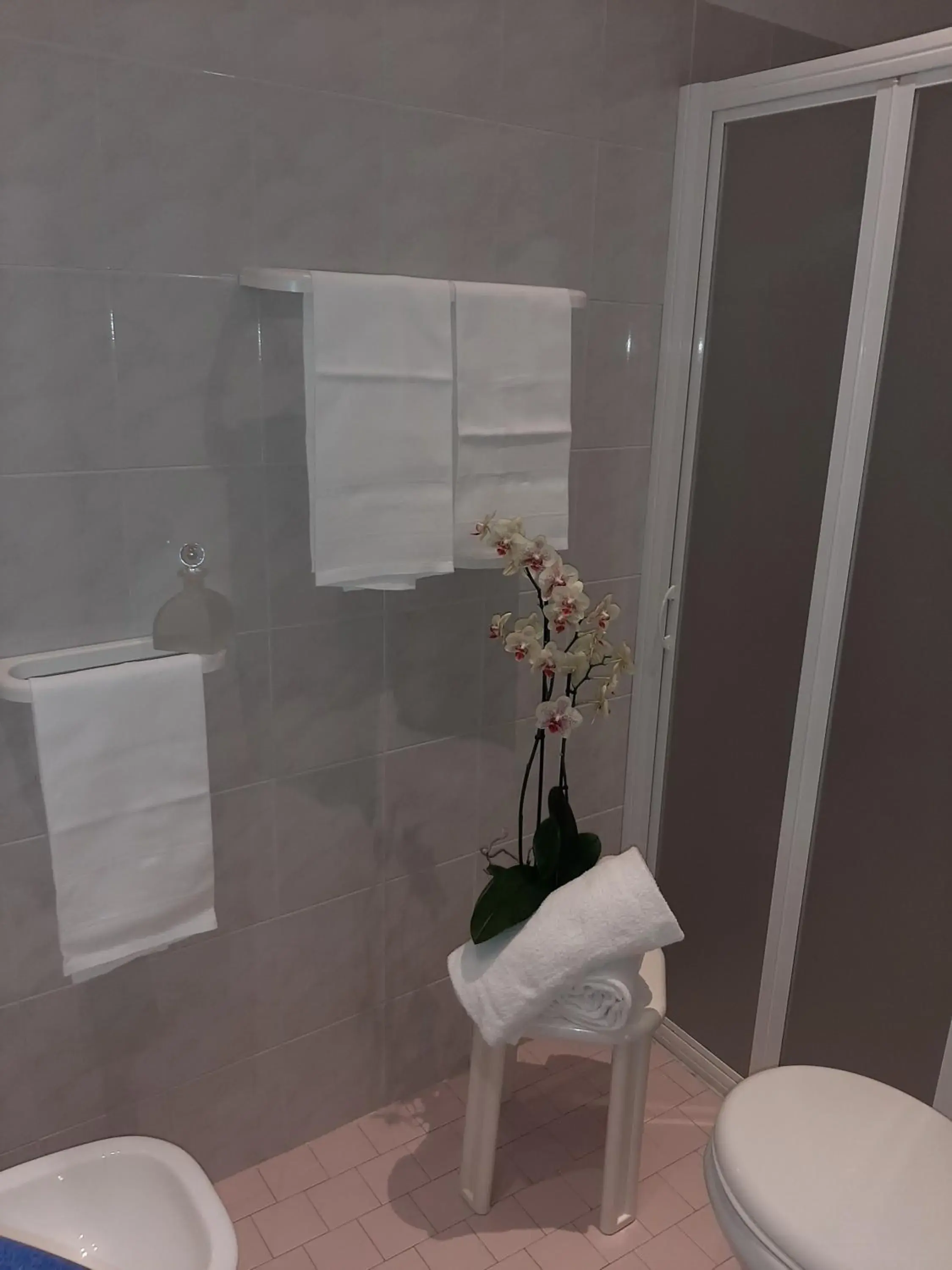 Shower, Bathroom in Hotel Cormoran