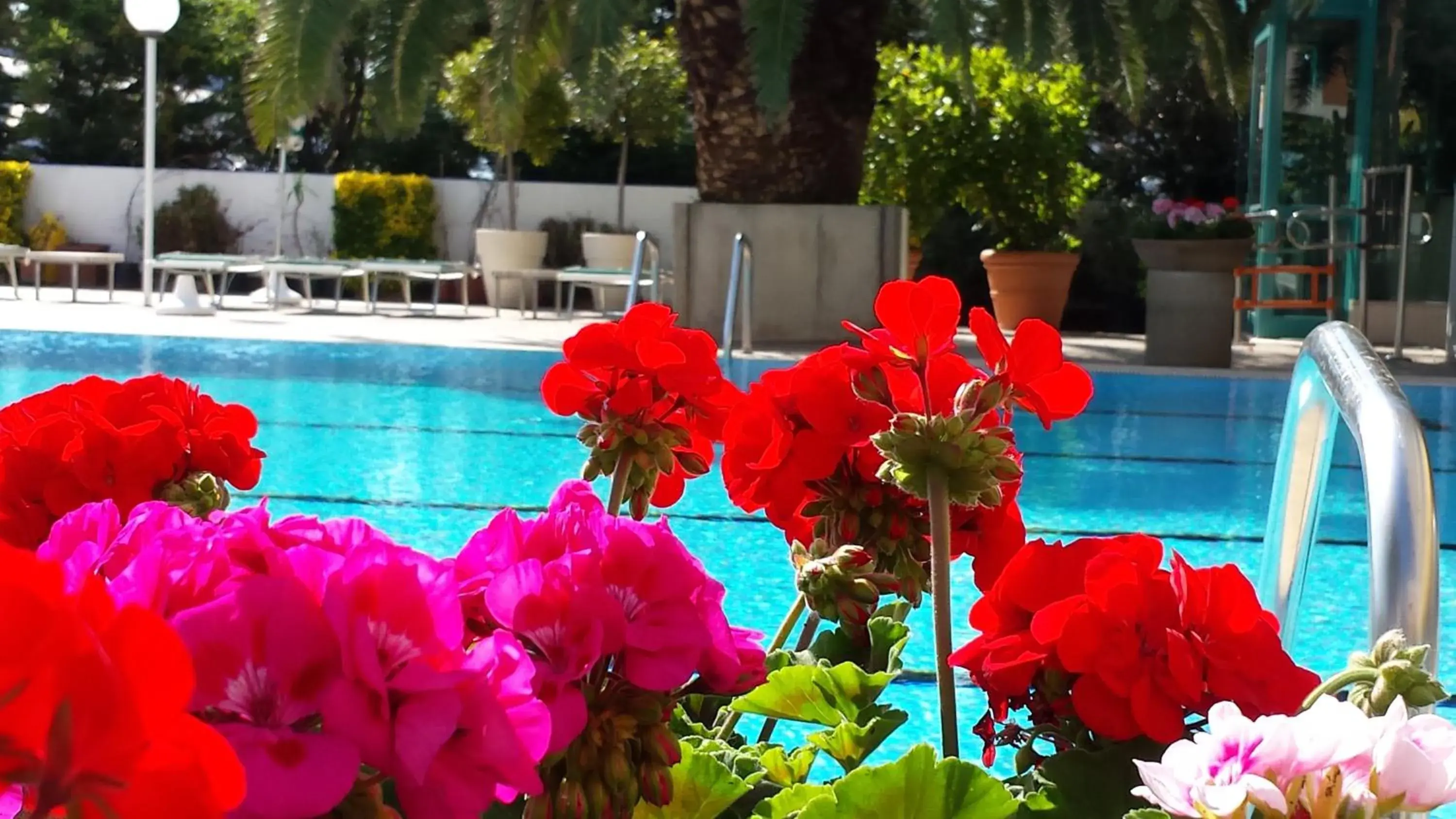 Spring, Swimming Pool in Hotel Cormoran