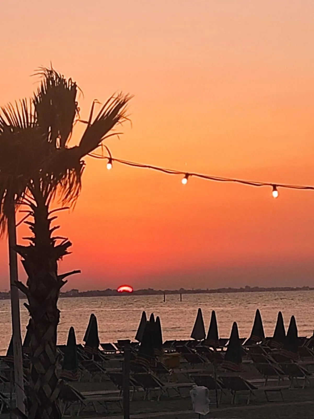 Summer in Hotel Cormoran