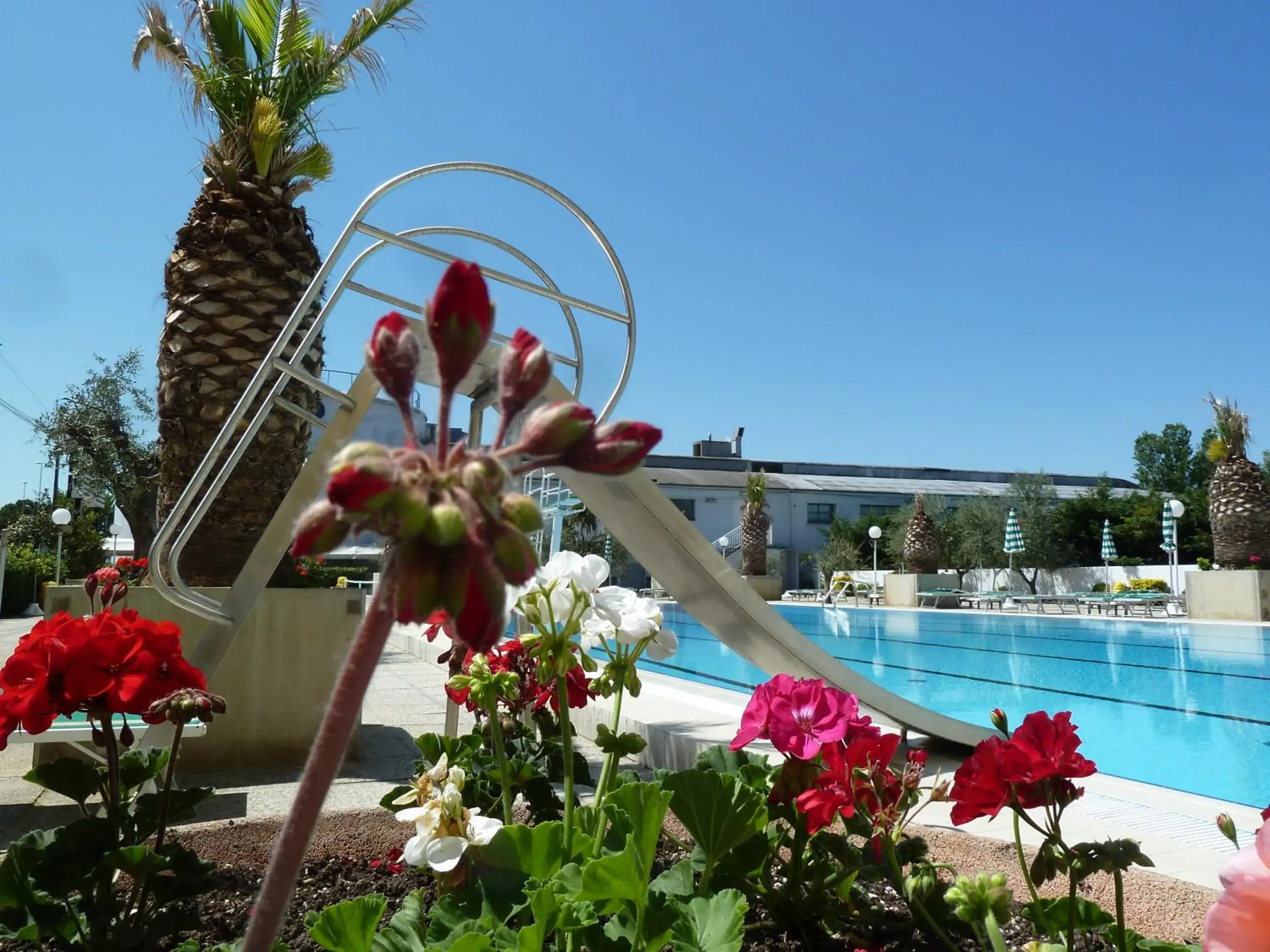 Spring, Swimming Pool in Hotel Cormoran