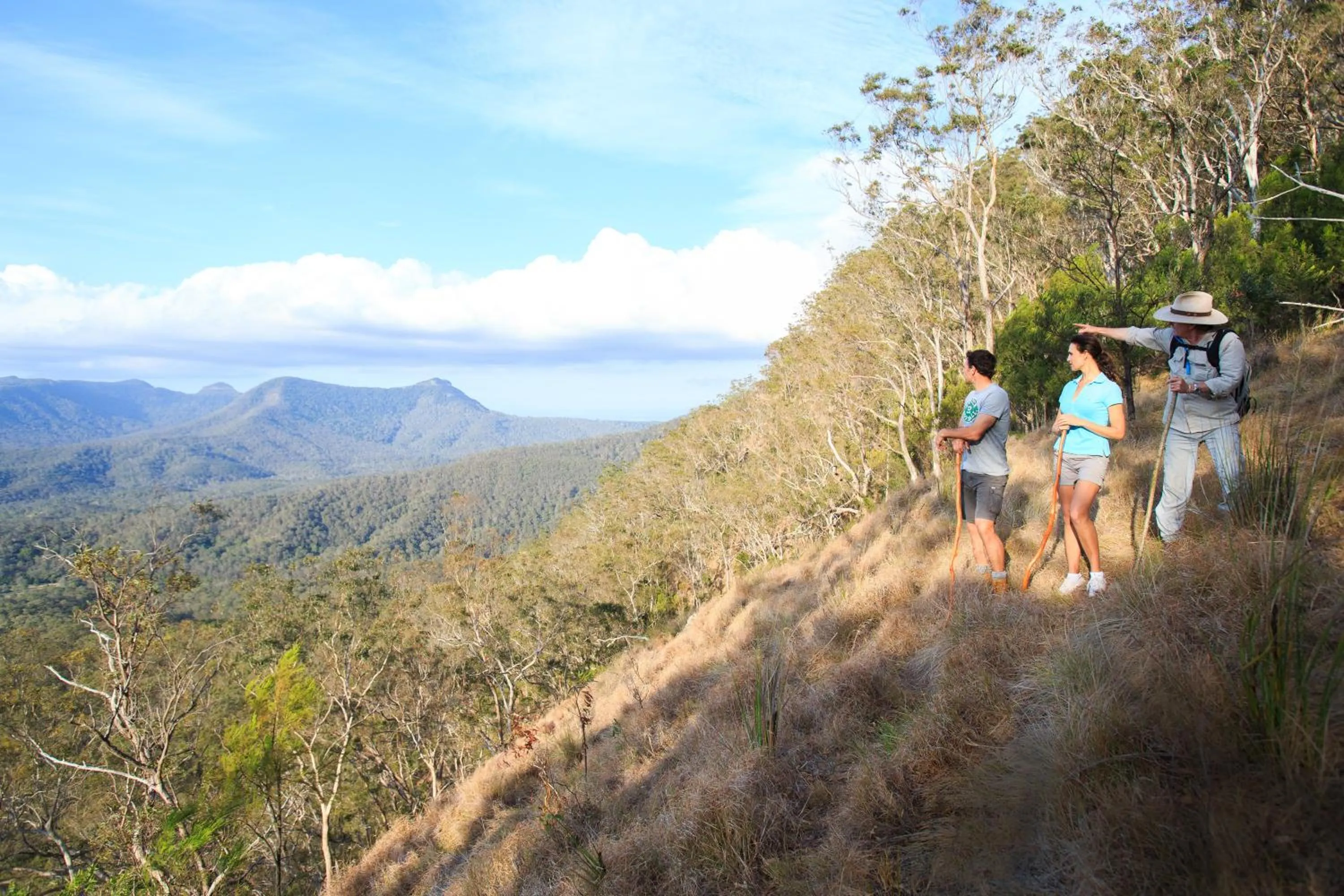 Hiking in Spicers Peak Lodge