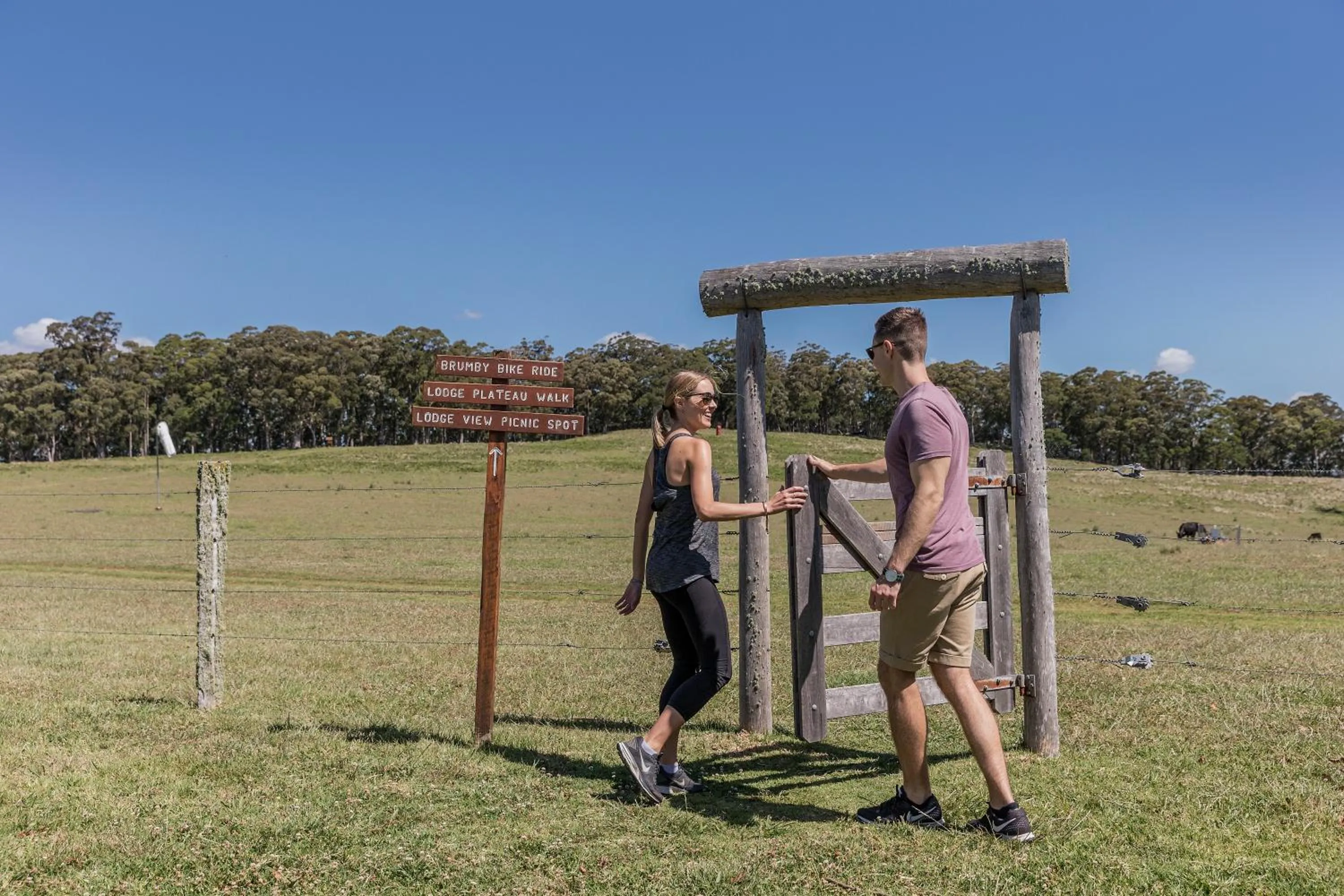Hiking in Spicers Peak Lodge