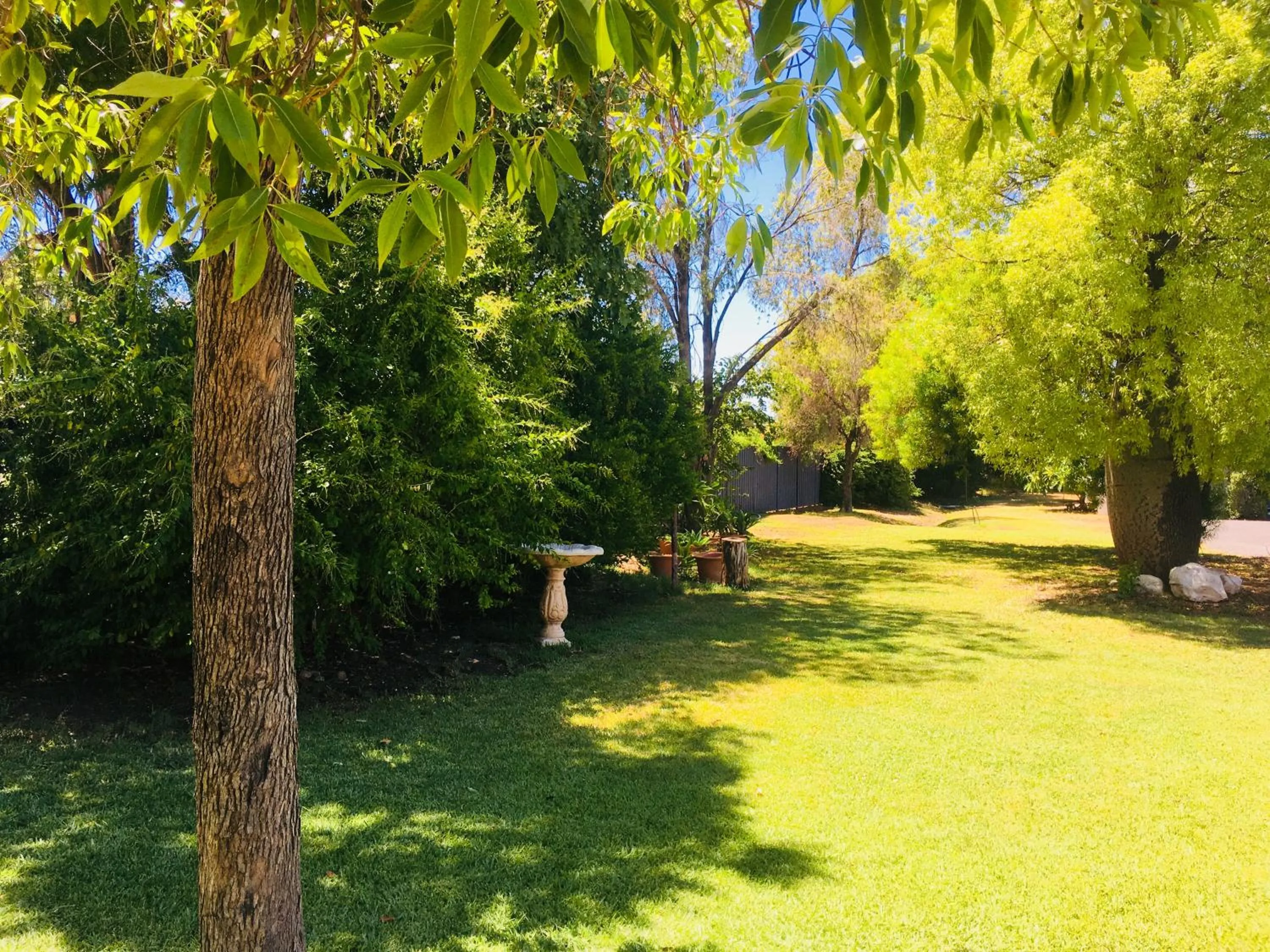 Balonne River Motor Inn