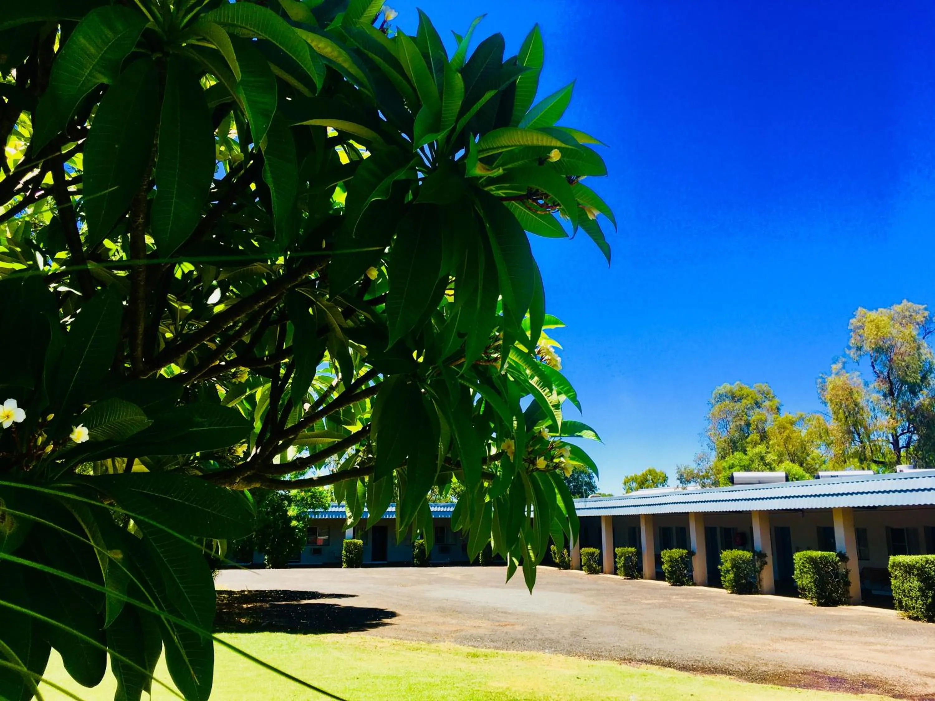 Property building in Balonne River Motor Inn